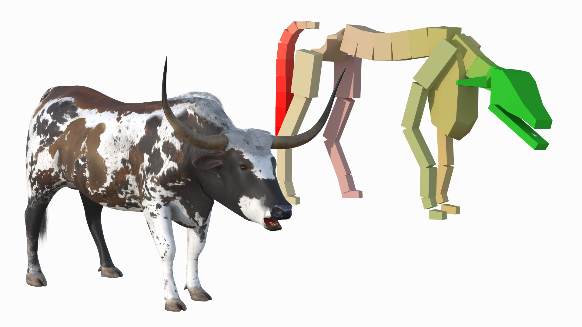 Texas Longhorn Mottled Brown Rigged for Cinema 4D 3D model