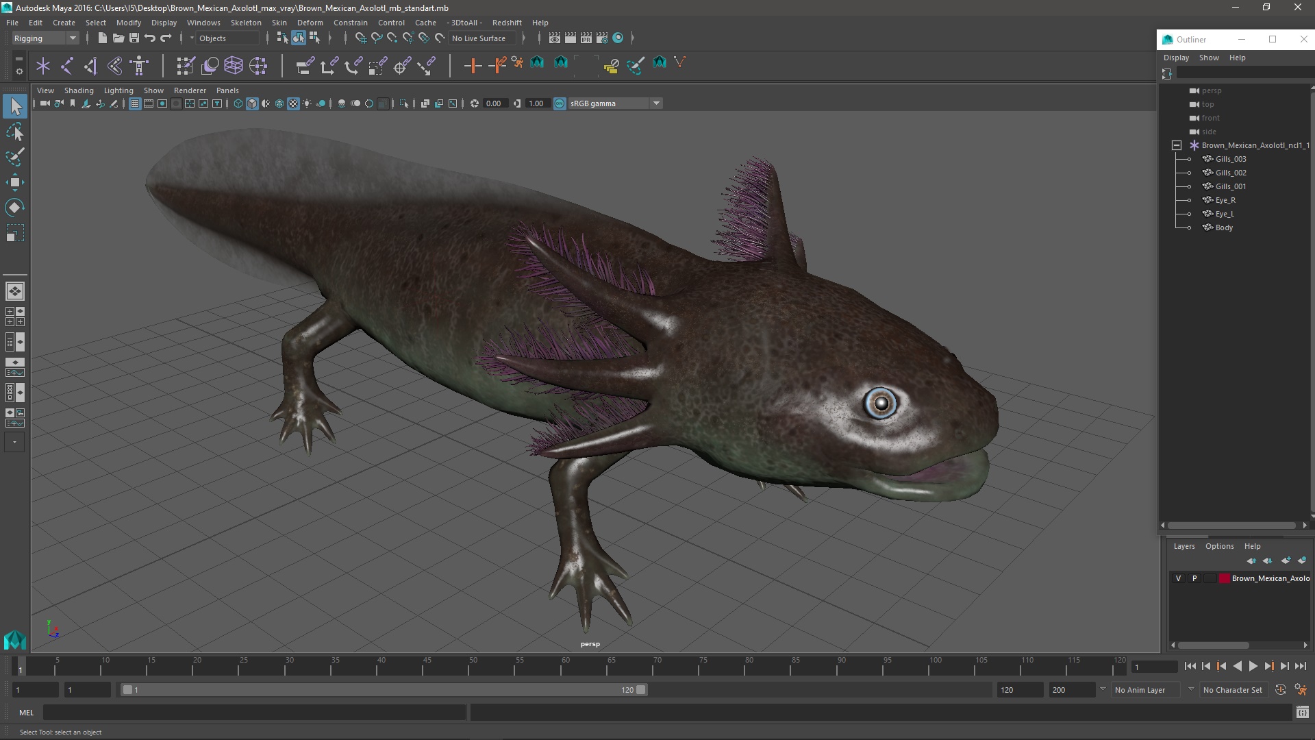 3D Brown Mexican Axolotl