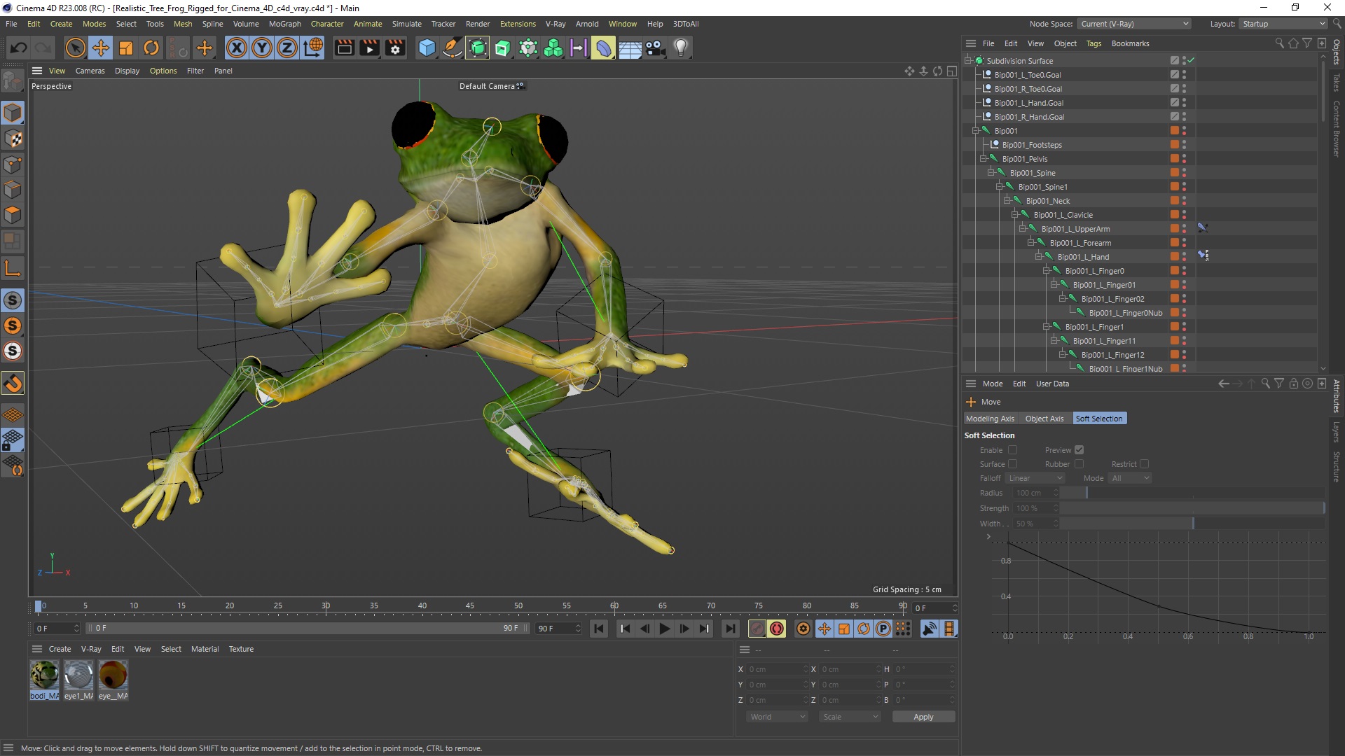 3D model Realistic Tree Frog Rigged for Cinema 4D