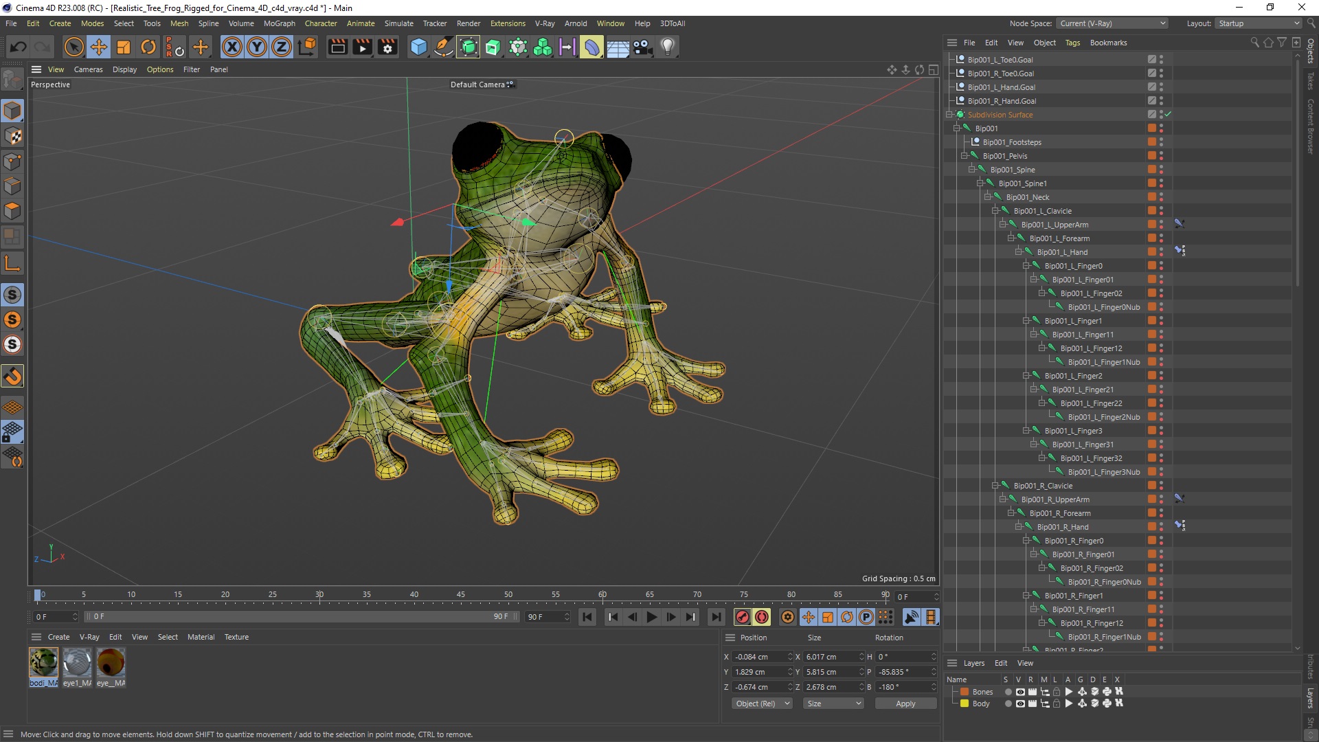 3D model Realistic Tree Frog Rigged for Cinema 4D