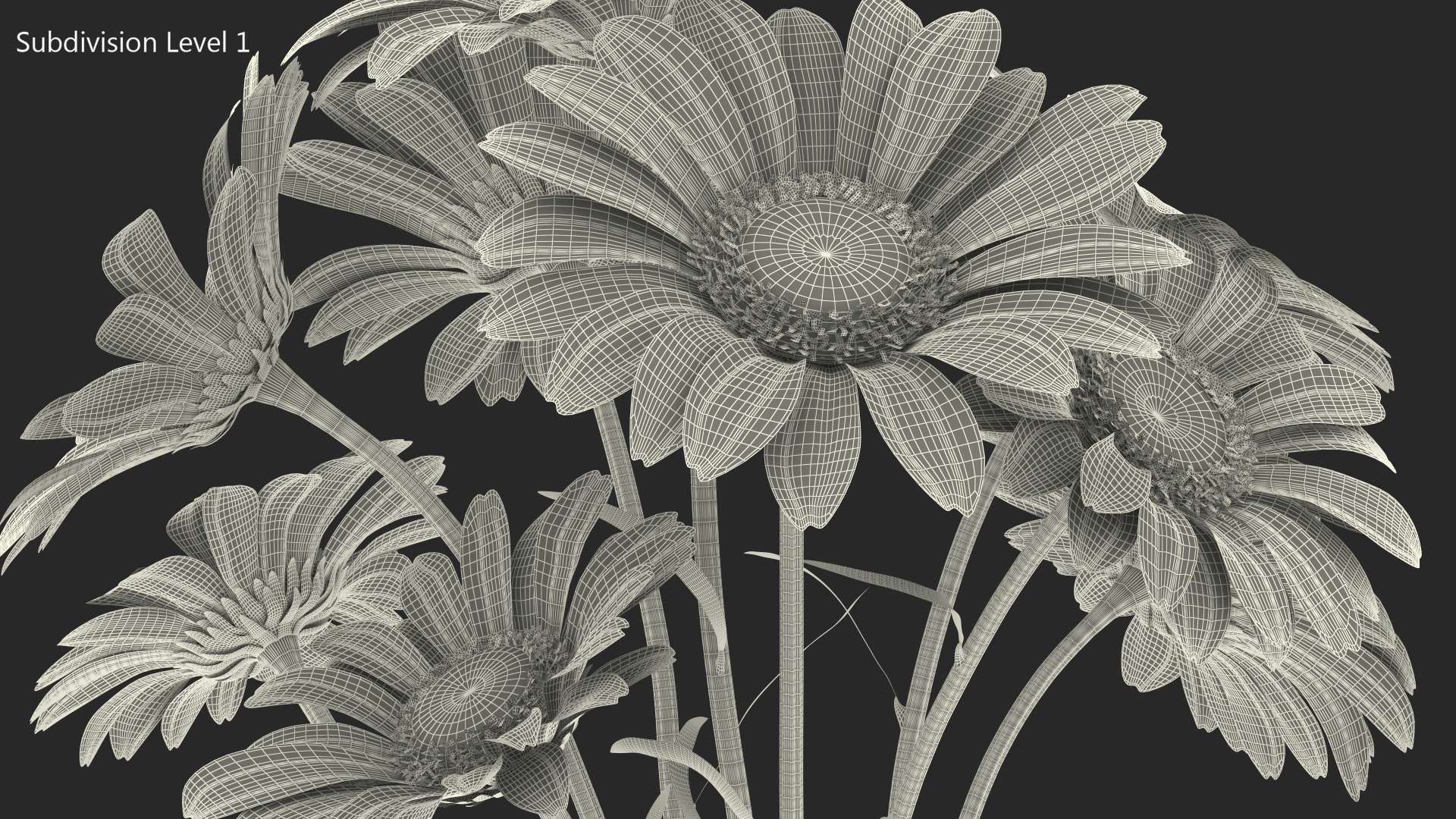 3D Bouquet of Chamomile Flowers model