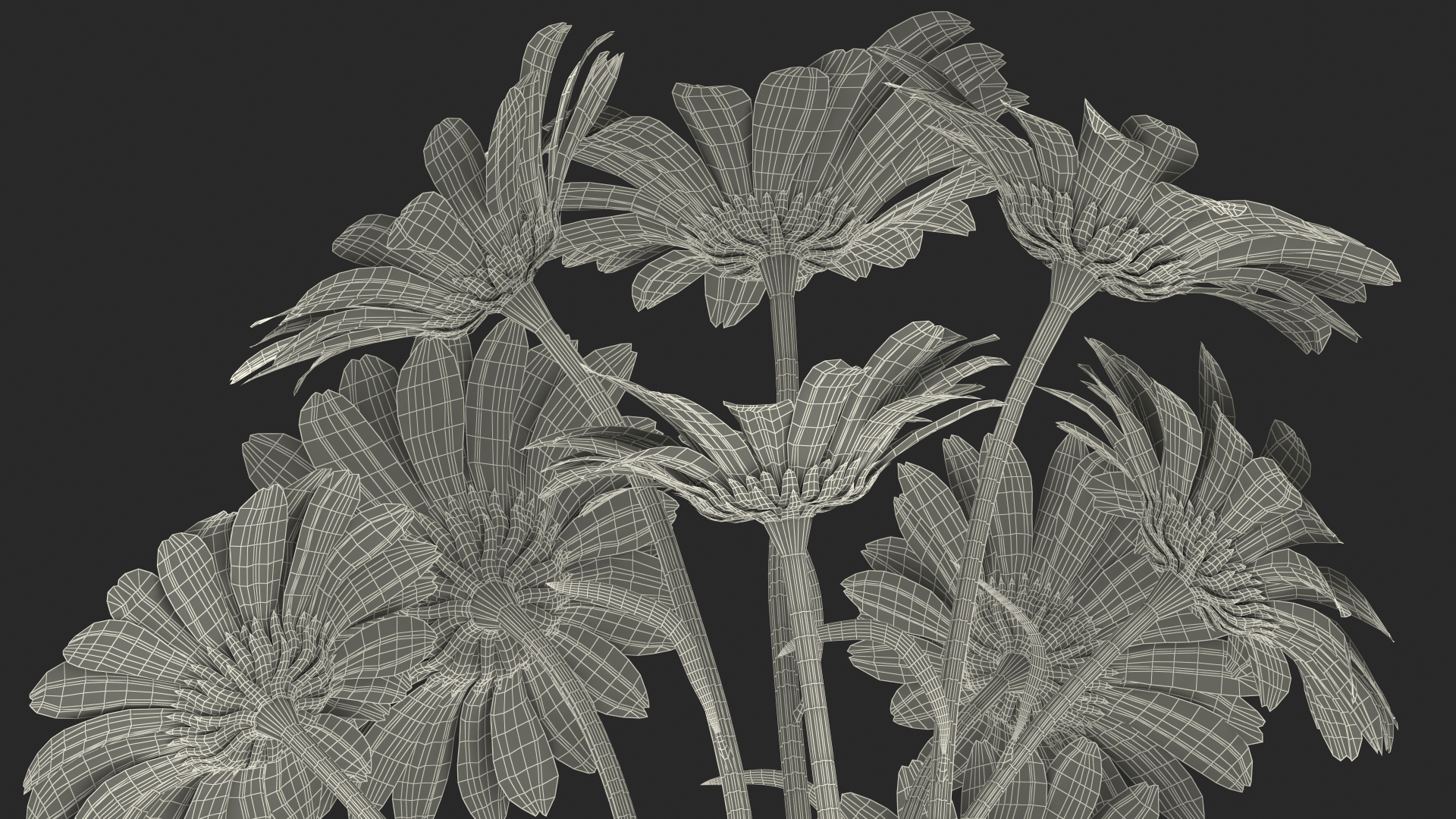 3D Bouquet of Chamomile Flowers model