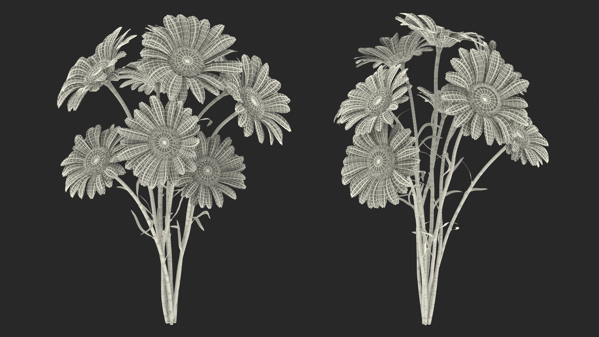 3D Bouquet of Chamomile Flowers model