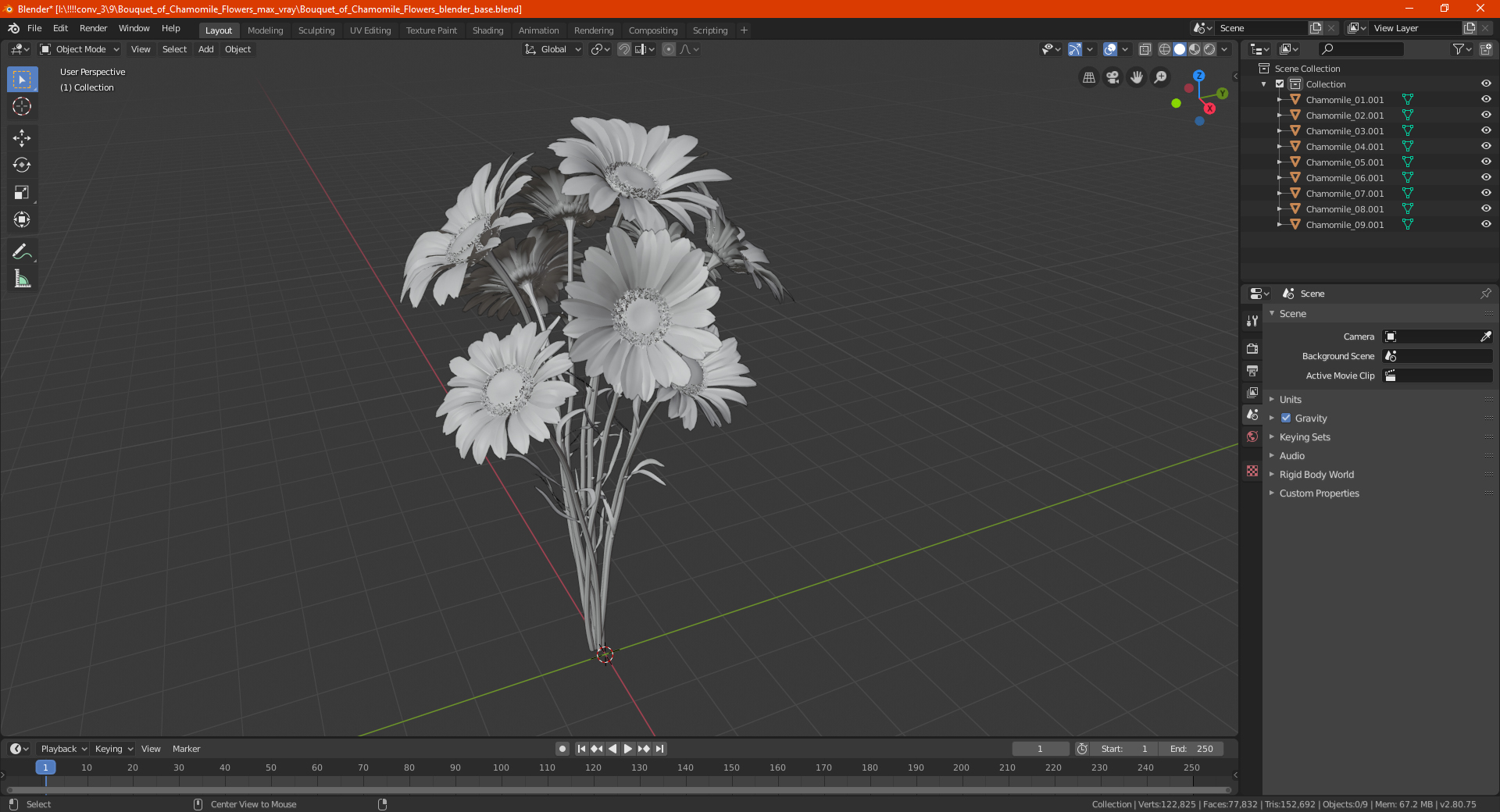 3D Bouquet of Chamomile Flowers model