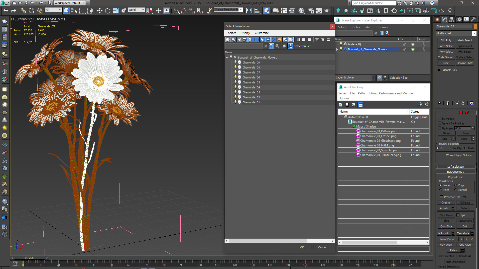 3D Bouquet of Chamomile Flowers model