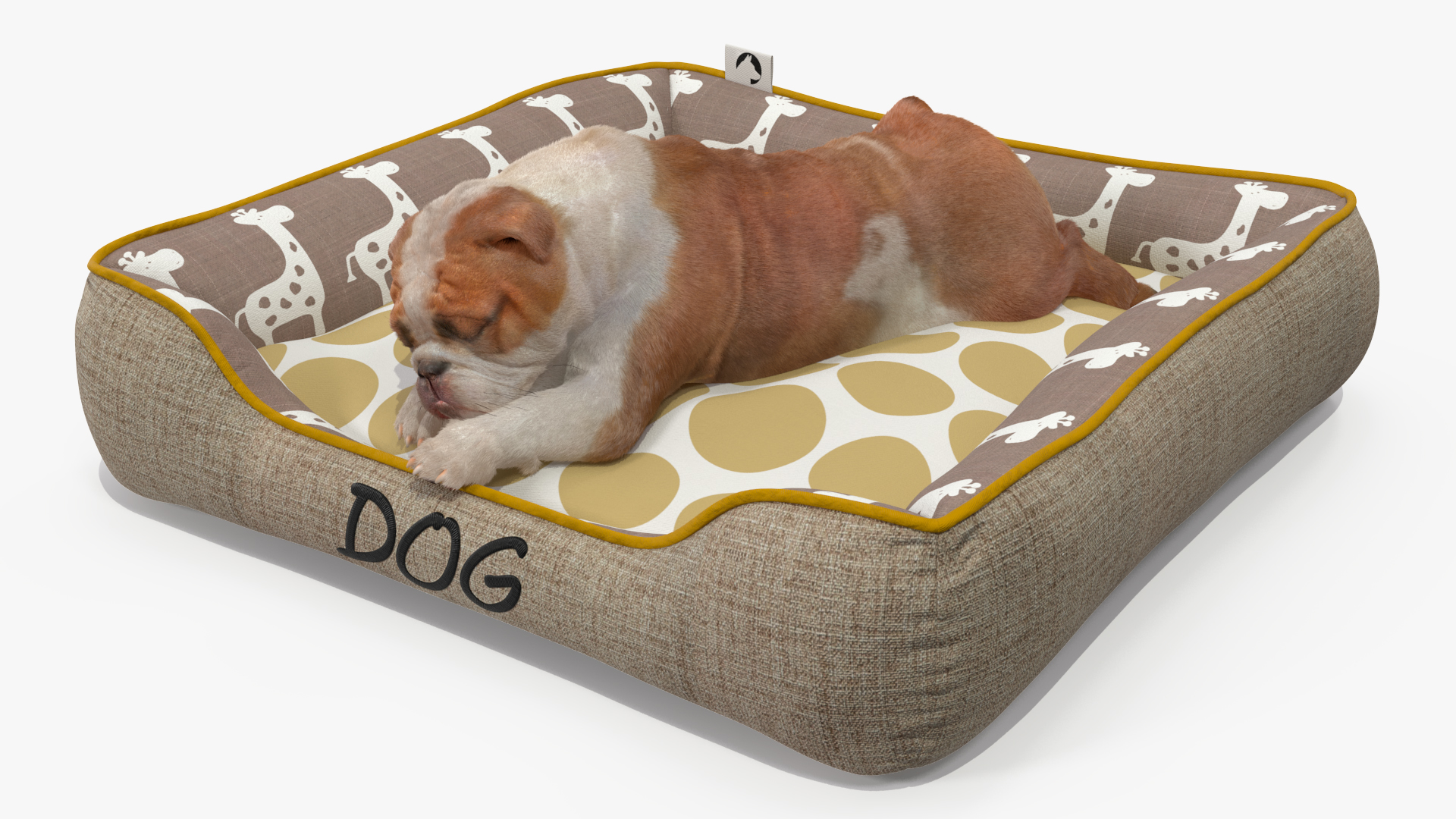 3D Bulldog Sleep in Pet Bed Fur model