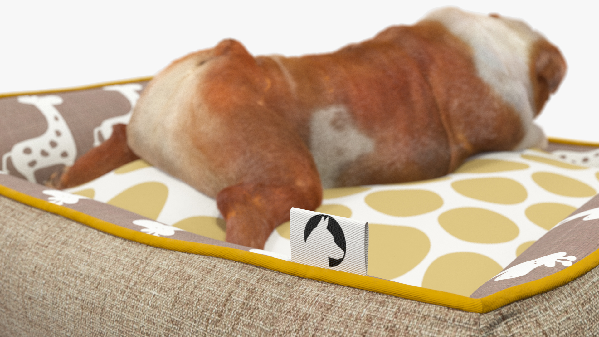 3D Bulldog Sleep in Pet Bed Fur model