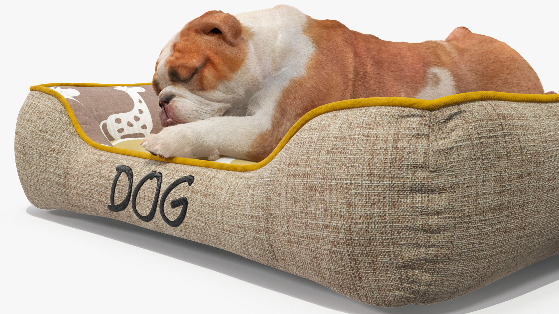 3D Bulldog Sleep in Pet Bed Fur model