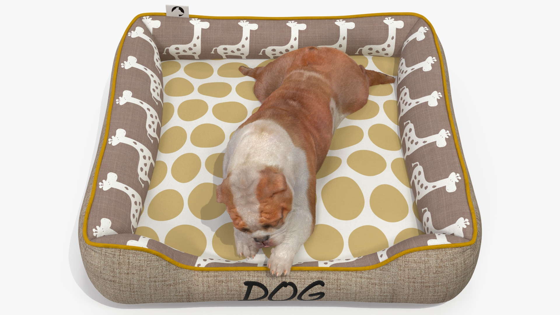 3D Bulldog Sleep in Pet Bed Fur model
