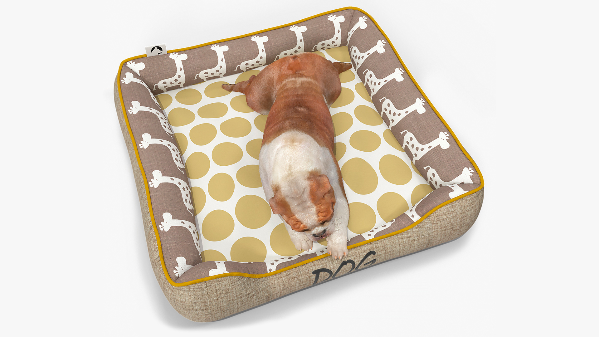 3D Bulldog Sleep in Pet Bed Fur model