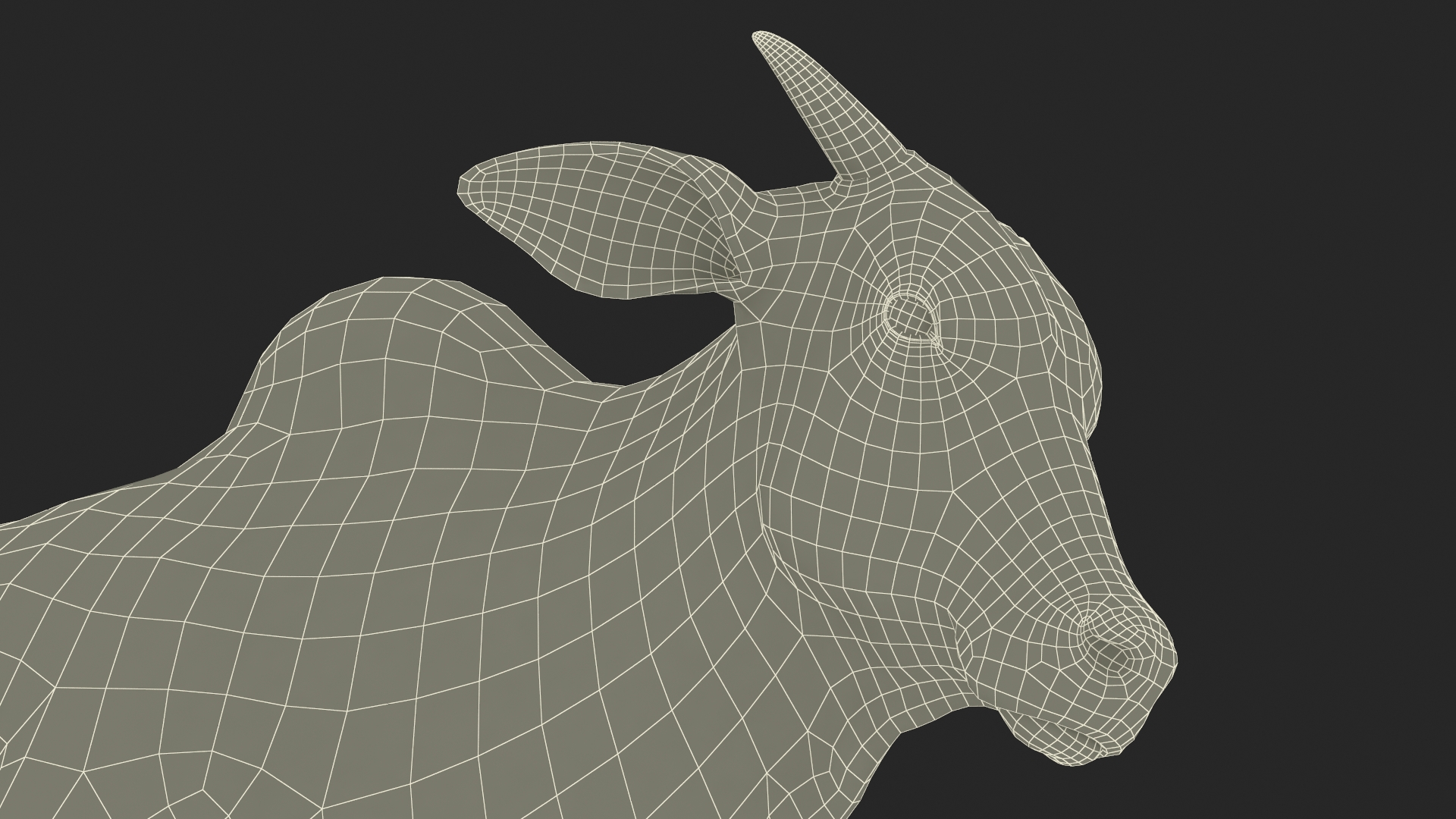 3D Zebu Cattle Male Walking Fur model