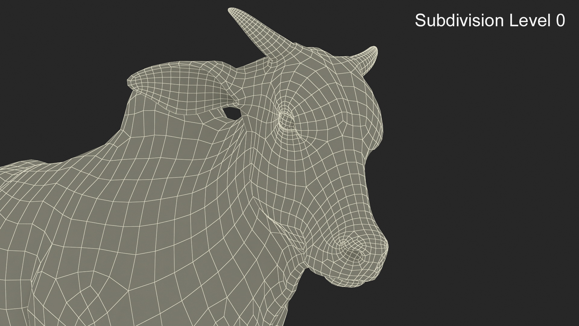 3D Zebu Cattle Male Walking Fur model
