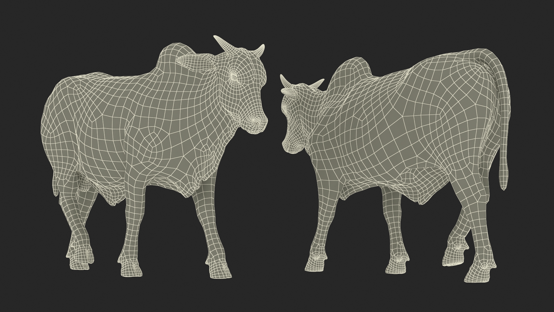 3D Zebu Cattle Male Walking Fur model