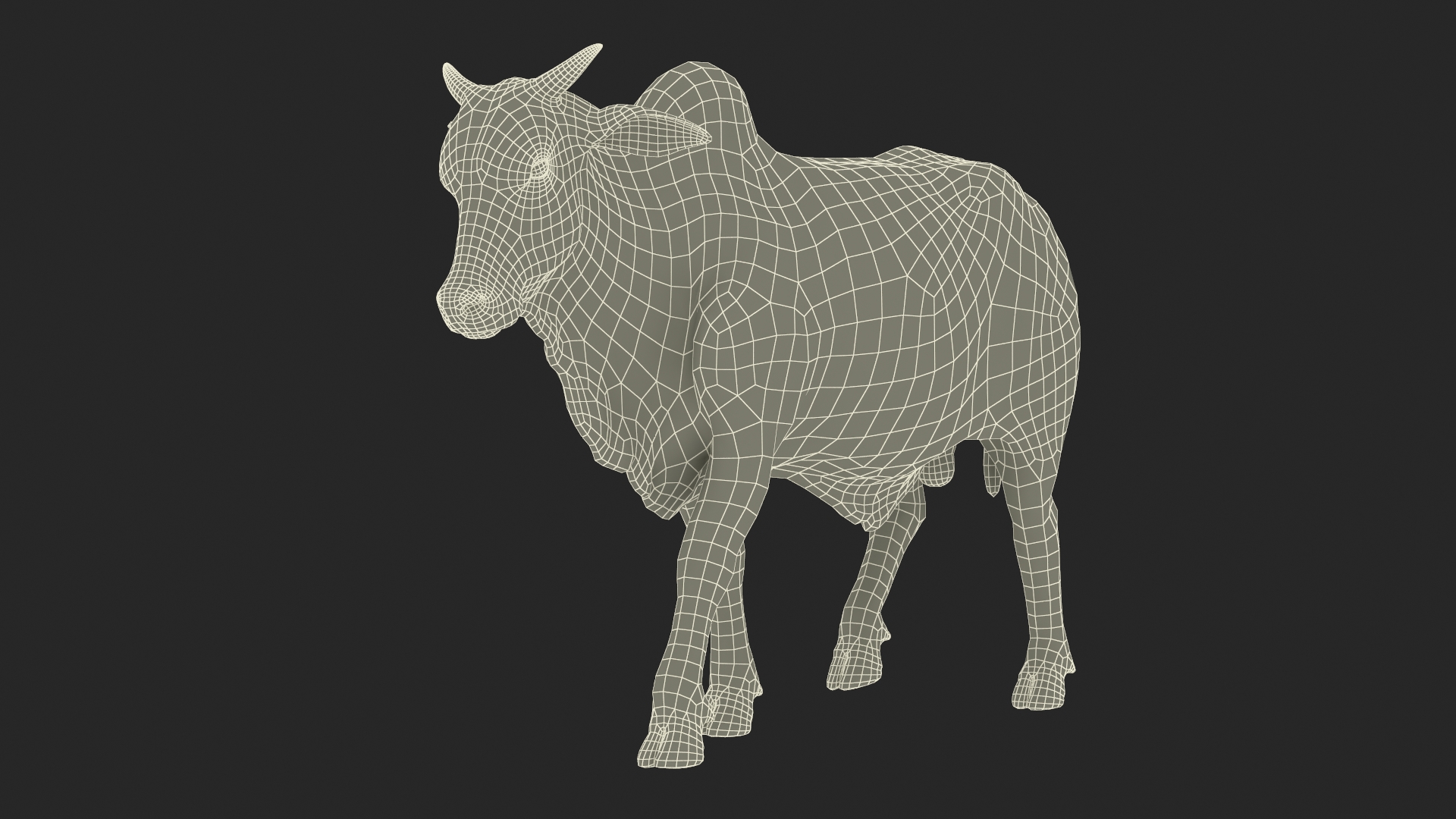 3D Zebu Cattle Male Walking Fur model