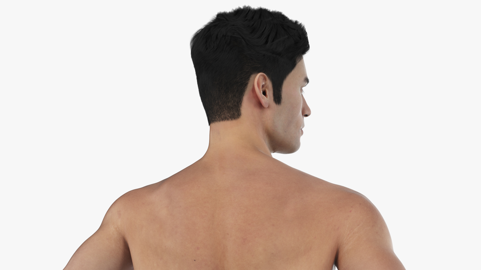 Male Athletic Anatomy Figure Posing Fur 3D model