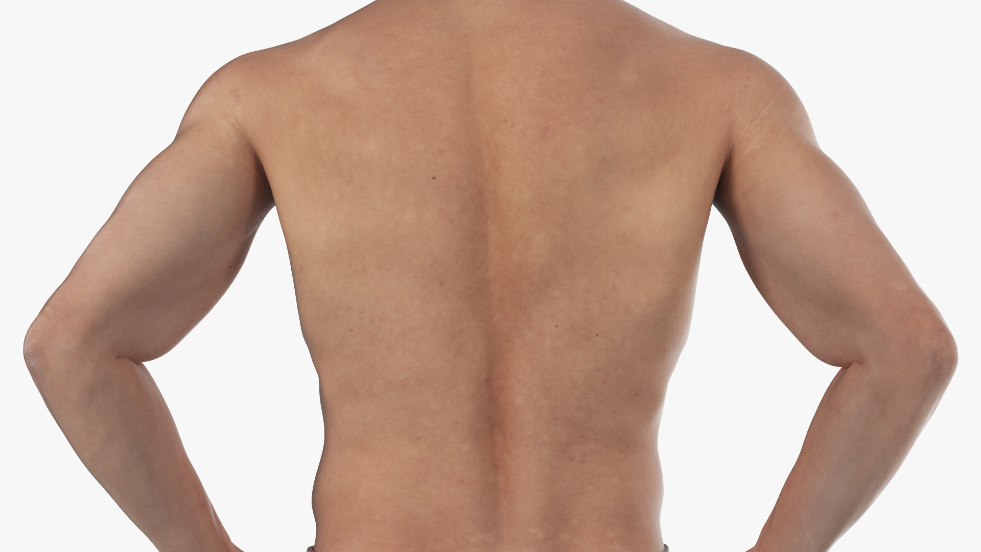 Male Athletic Anatomy Figure Posing Fur 3D model