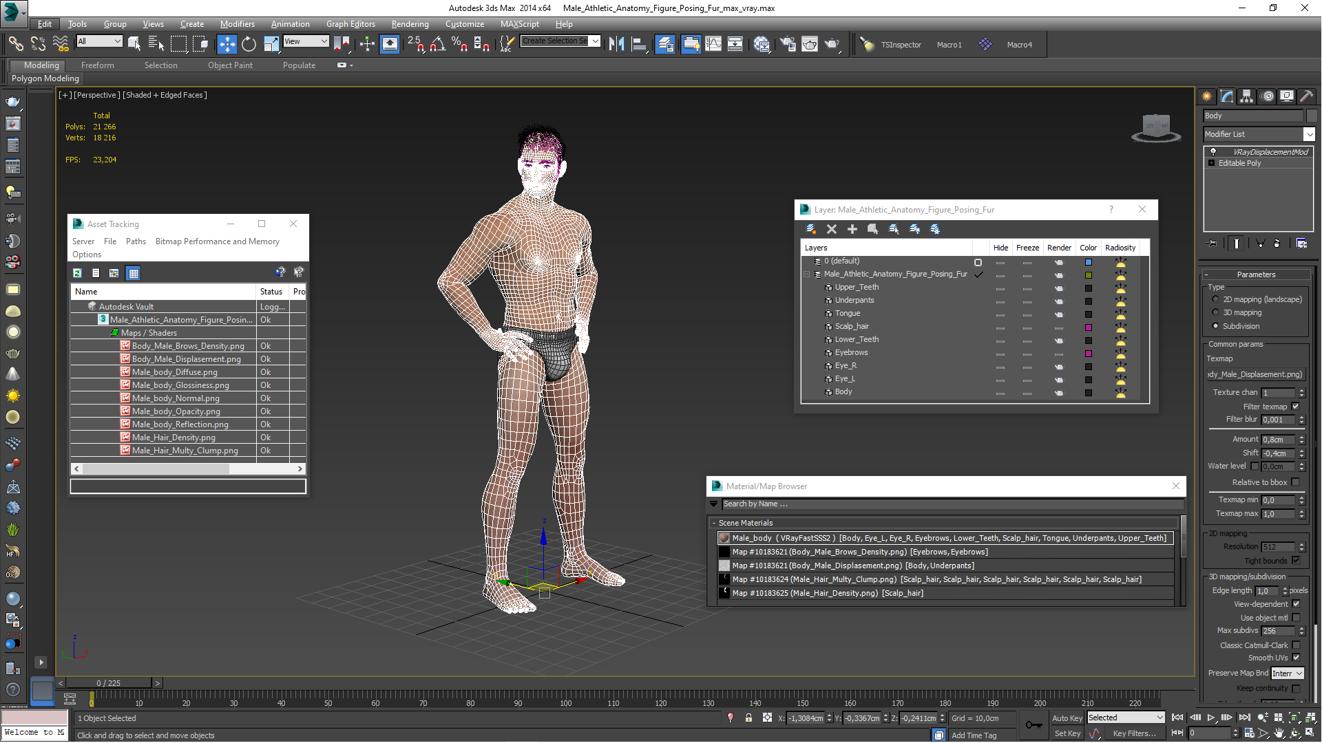 Male Athletic Anatomy Figure Posing Fur 3D model