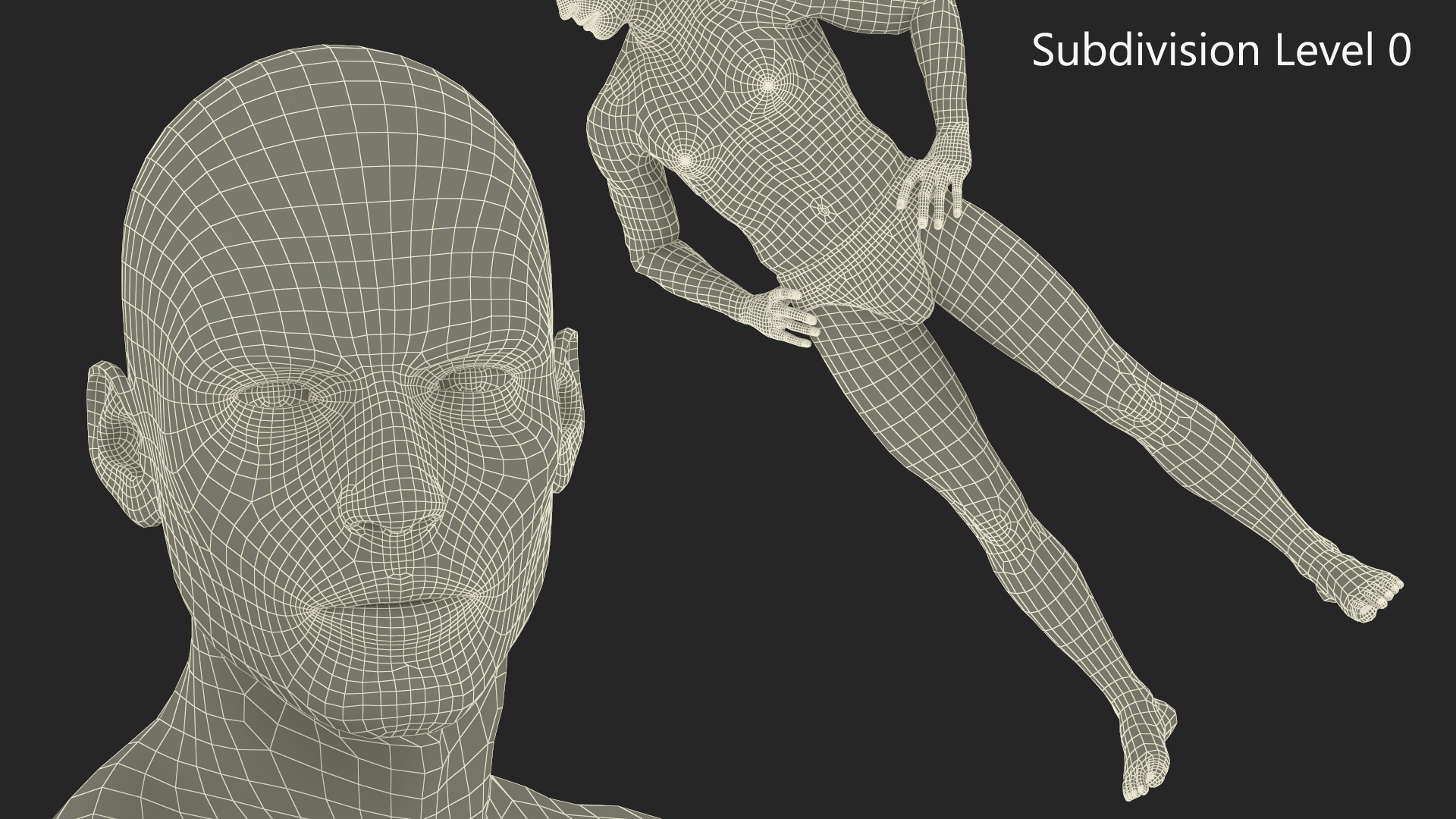 Male Athletic Anatomy Figure Posing Fur 3D model