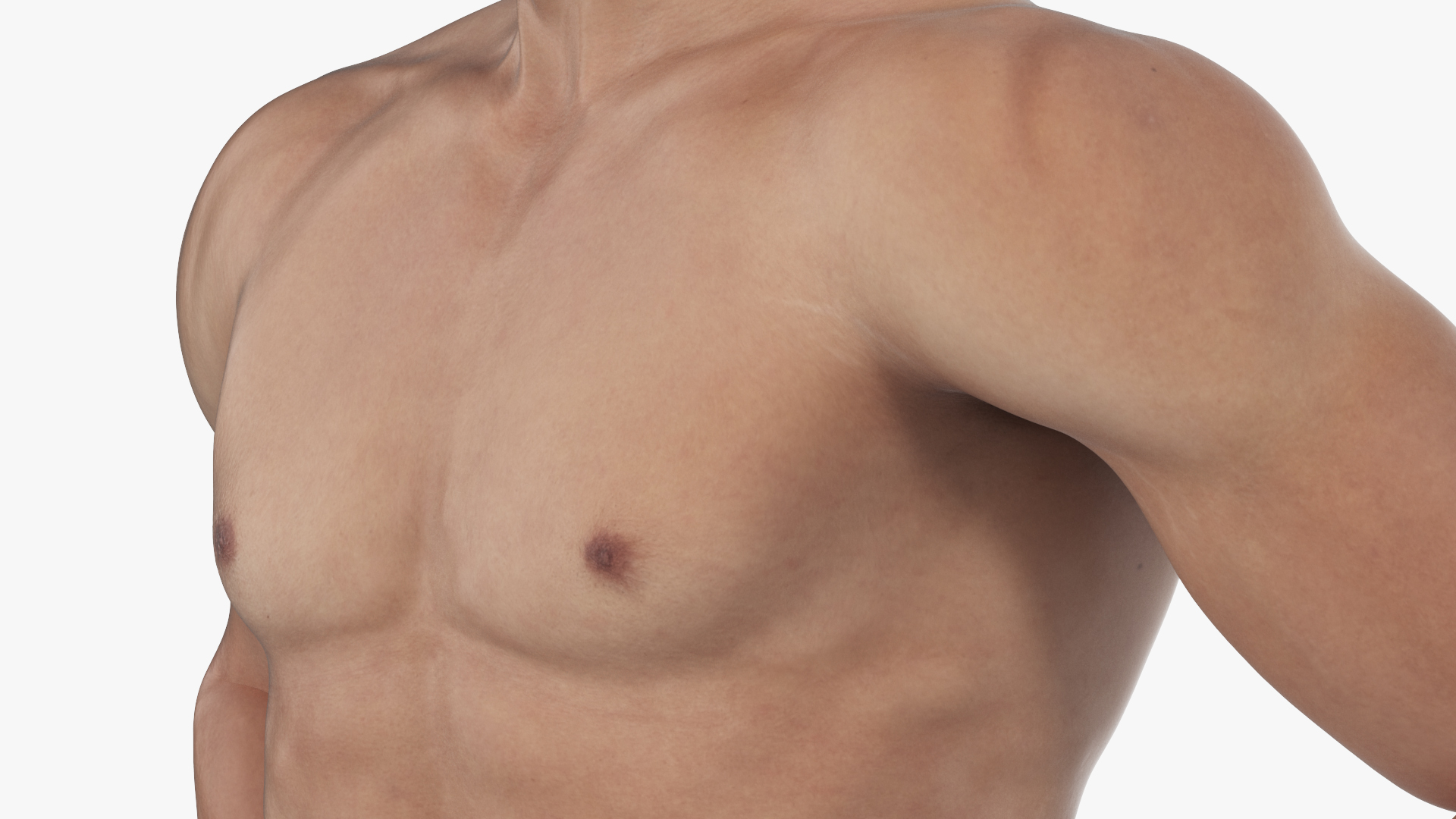 Male Athletic Anatomy Figure Posing Fur 3D model