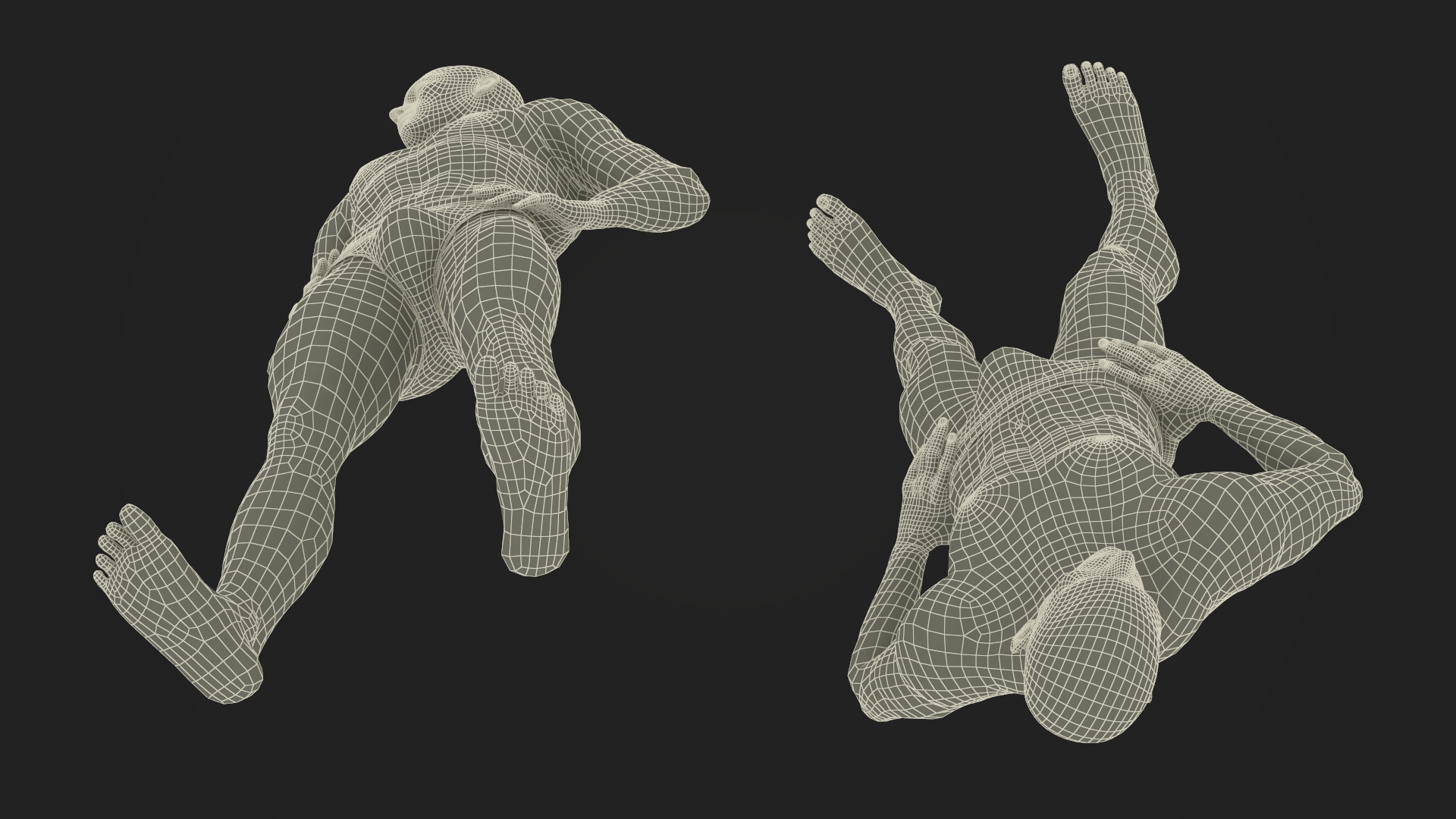 Male Athletic Anatomy Figure Posing Fur 3D model