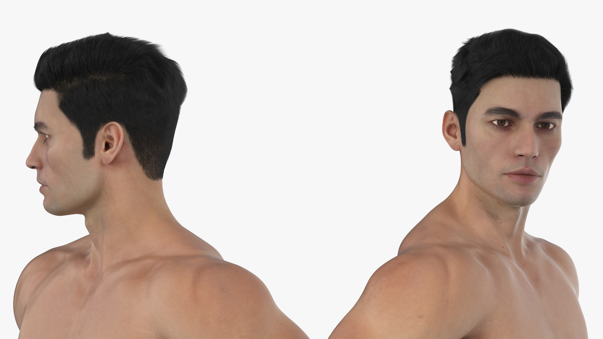 Male Athletic Anatomy Figure Posing Fur 3D model