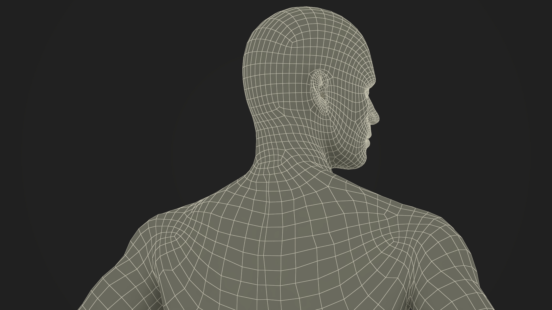 Male Athletic Anatomy Figure Posing Fur 3D model