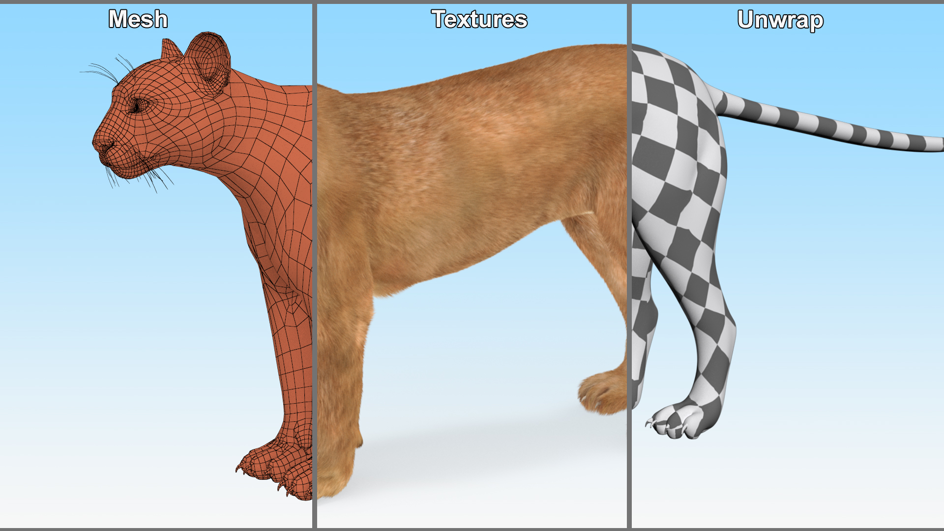 3D model Puma Fur Rigged