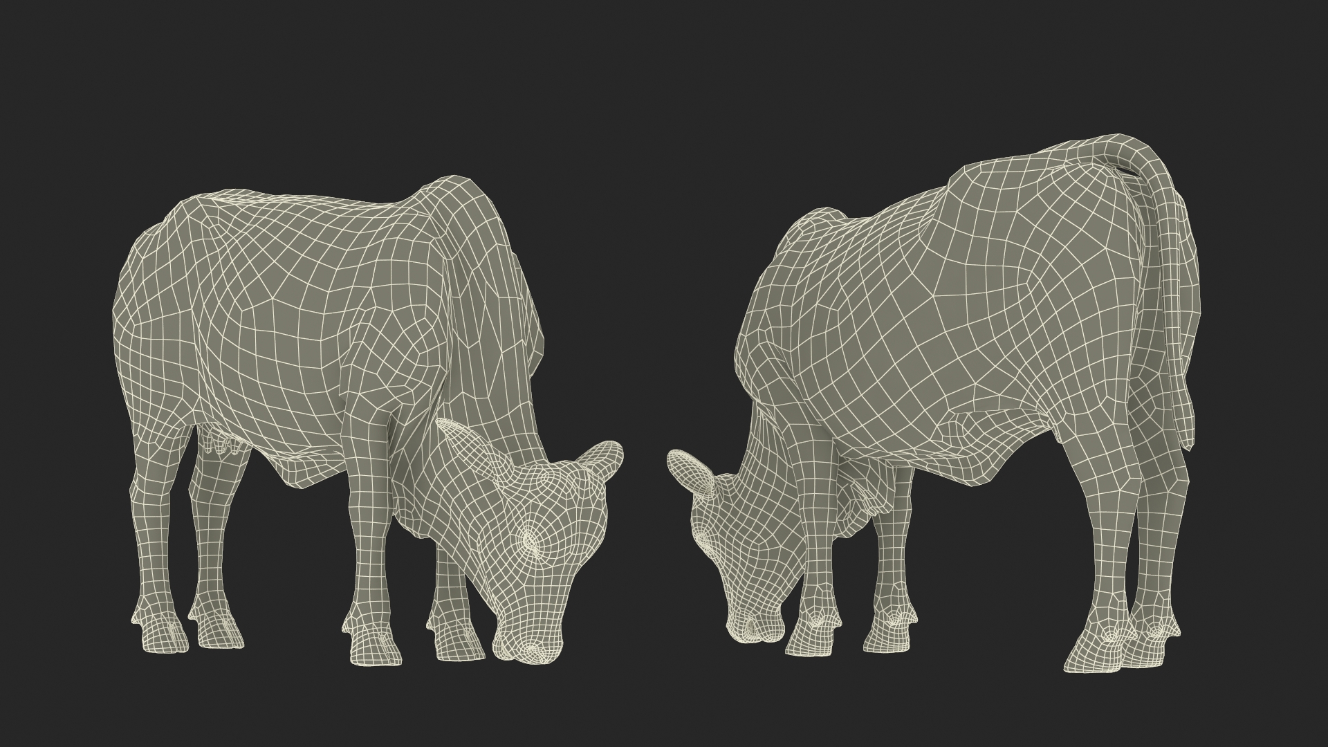 Ongole Cattle Female Eating 3D