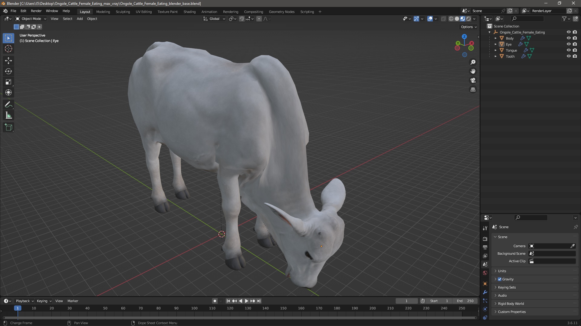 Ongole Cattle Female Eating 3D