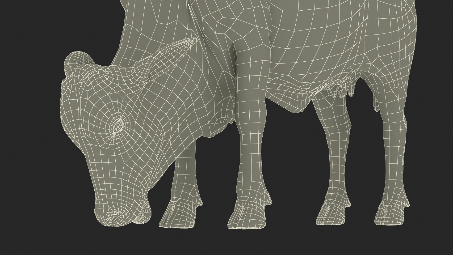 Ongole Cattle Female Eating 3D