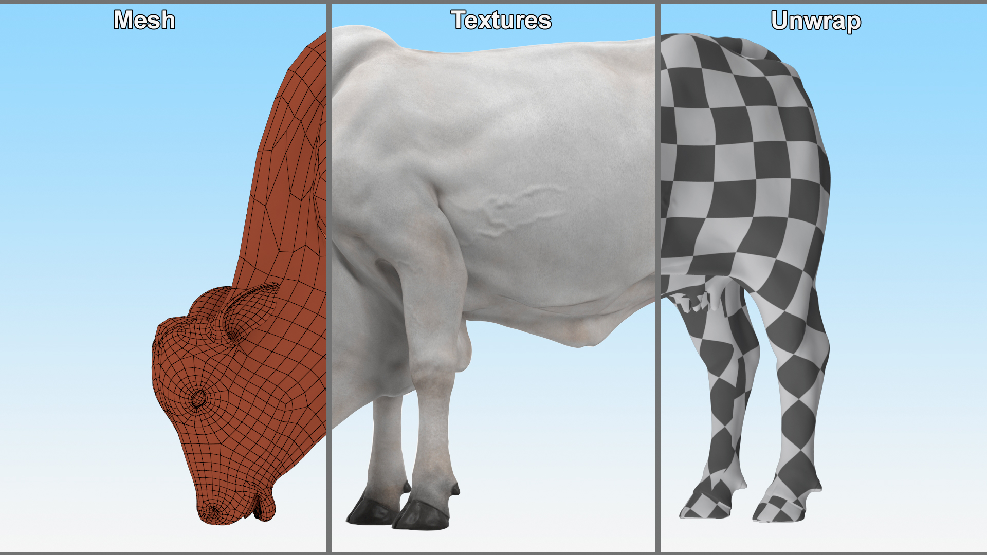 Ongole Cattle Female Eating 3D