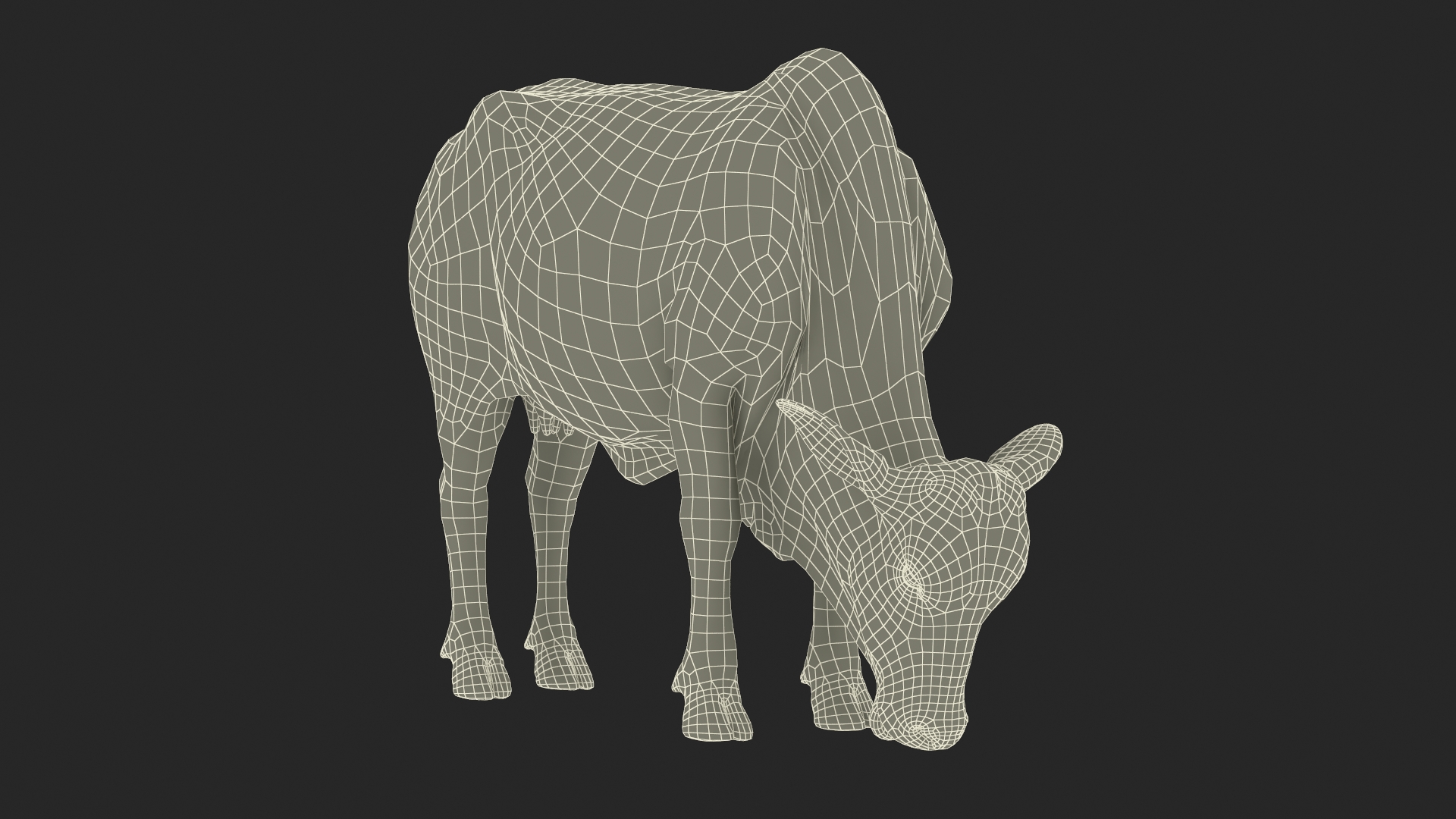 Ongole Cattle Female Eating 3D