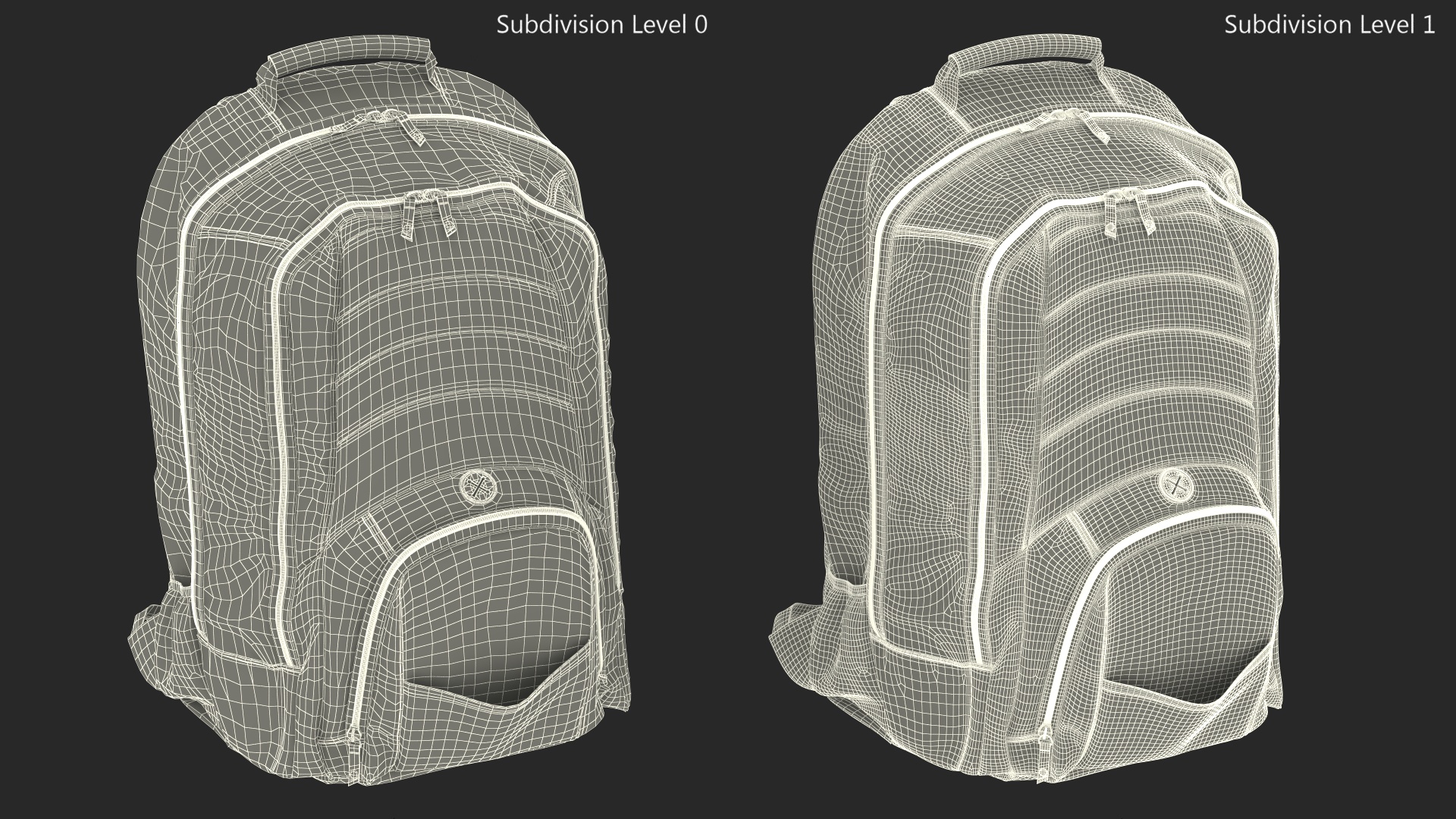 Stylish Sport Backpack 3D