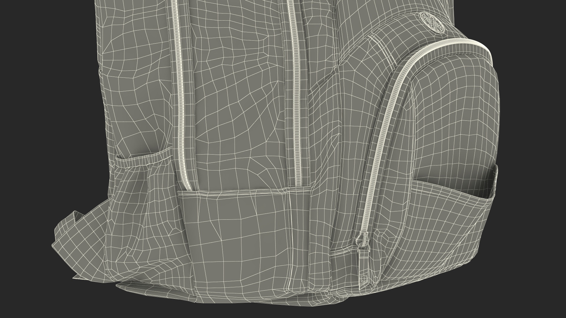 Stylish Sport Backpack 3D