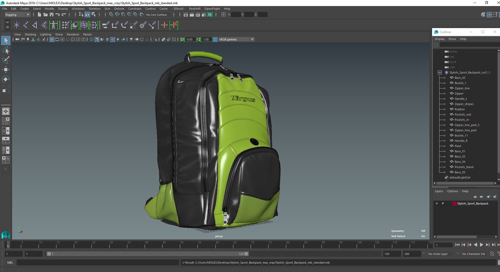Stylish Sport Backpack 3D
