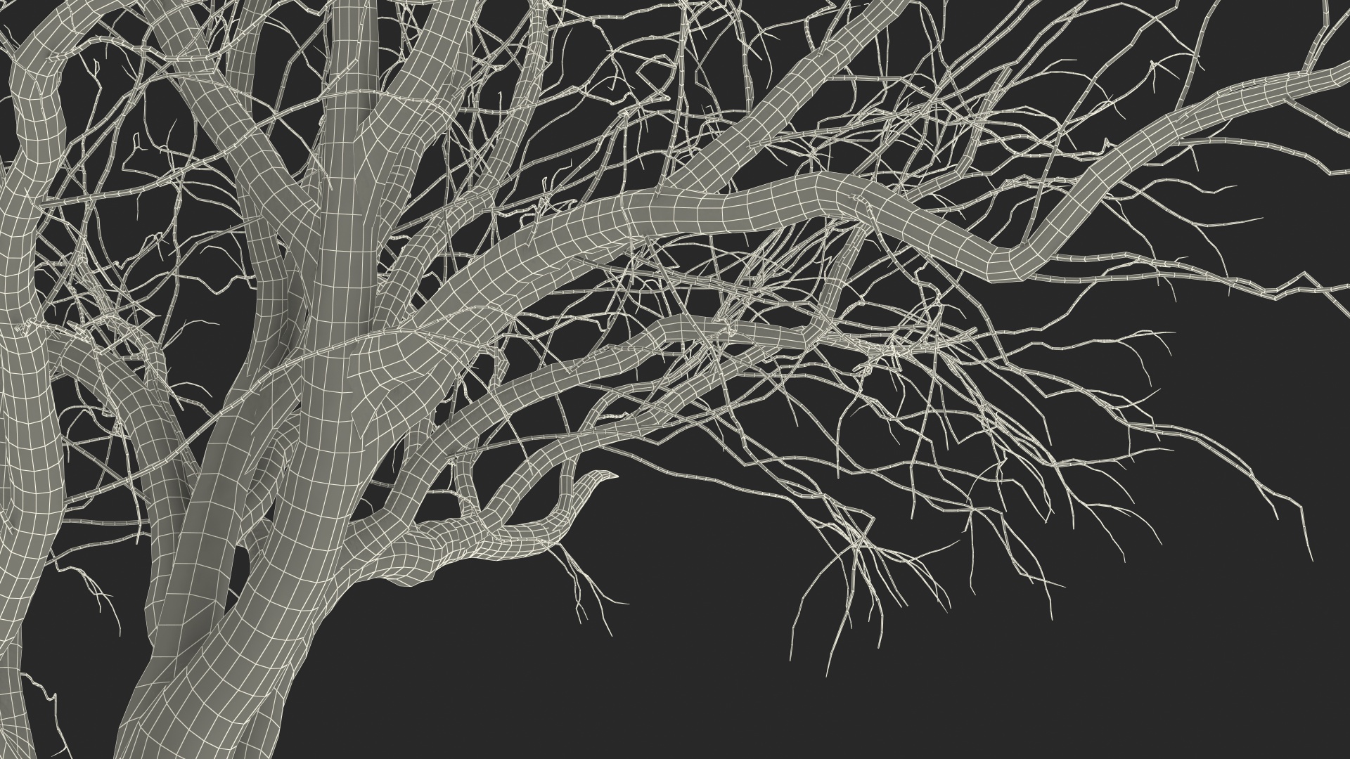 Winter Peach Tree 3D
