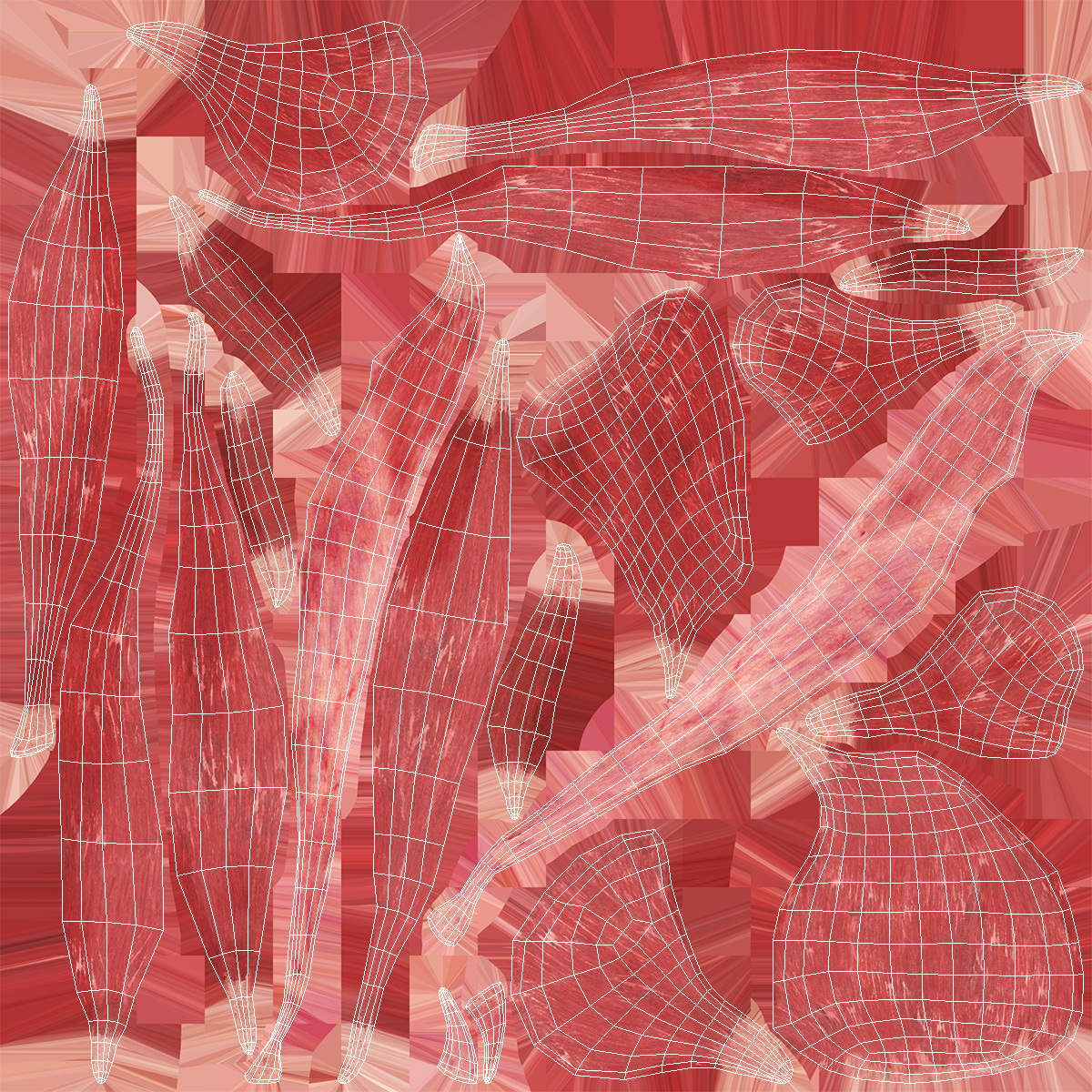 3D Female Anatomy Left Leg model
