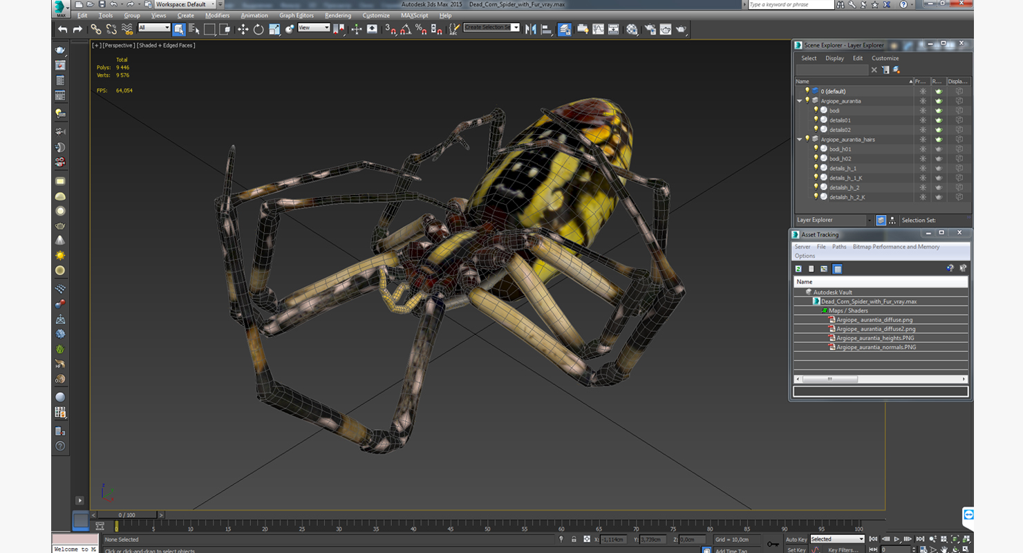3D model Dead Corn Spider with Fur