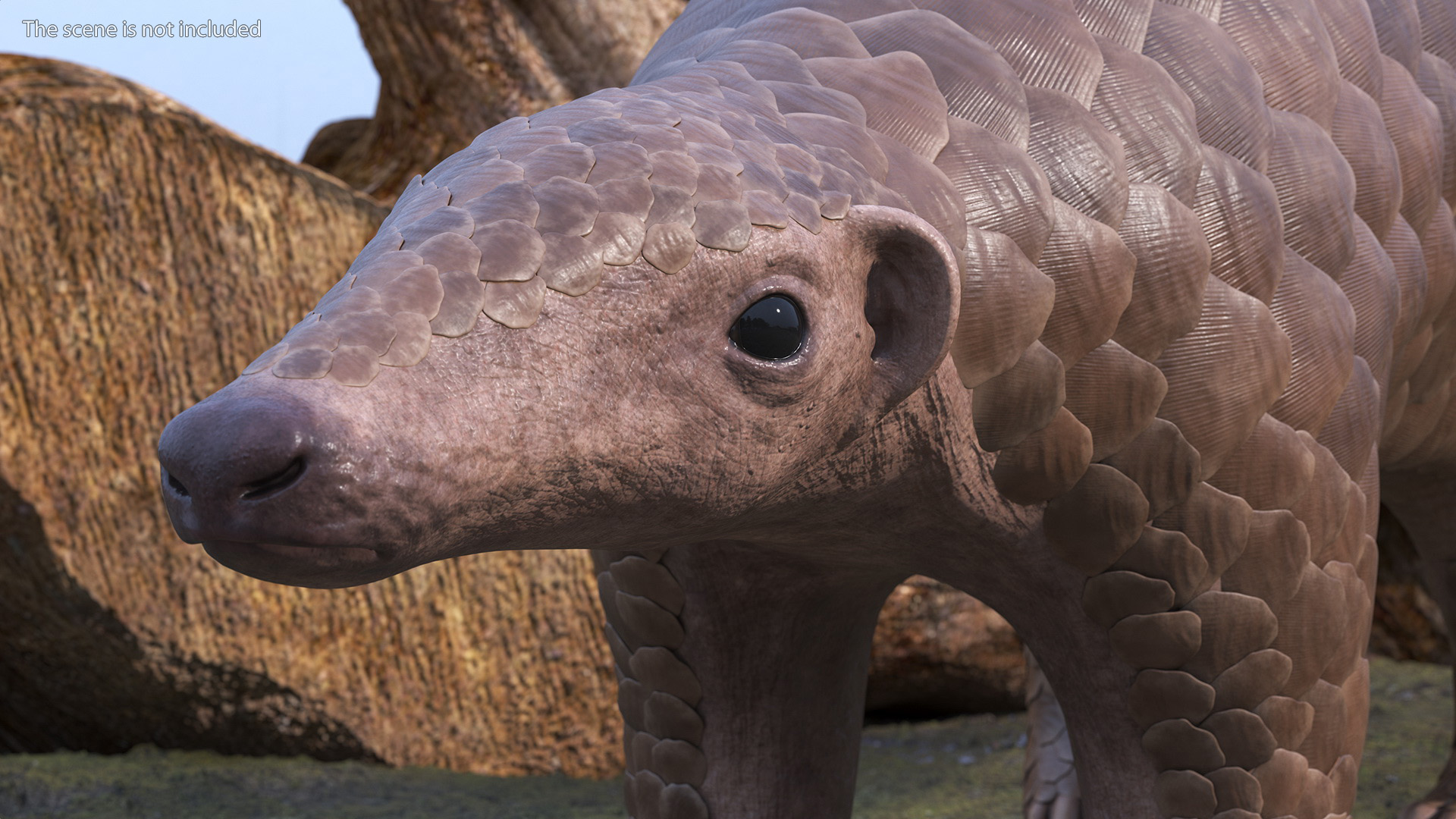 3D model Pangolin