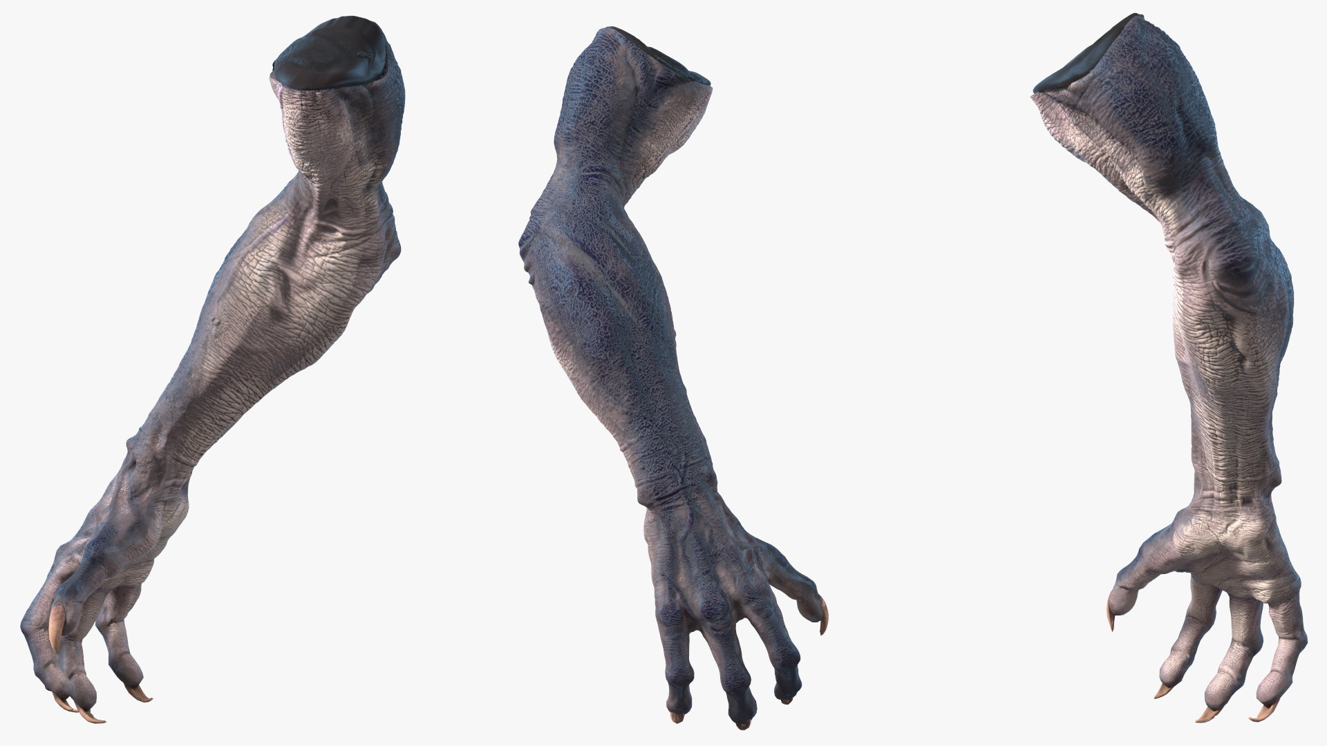 3D model Monster Creature Arm