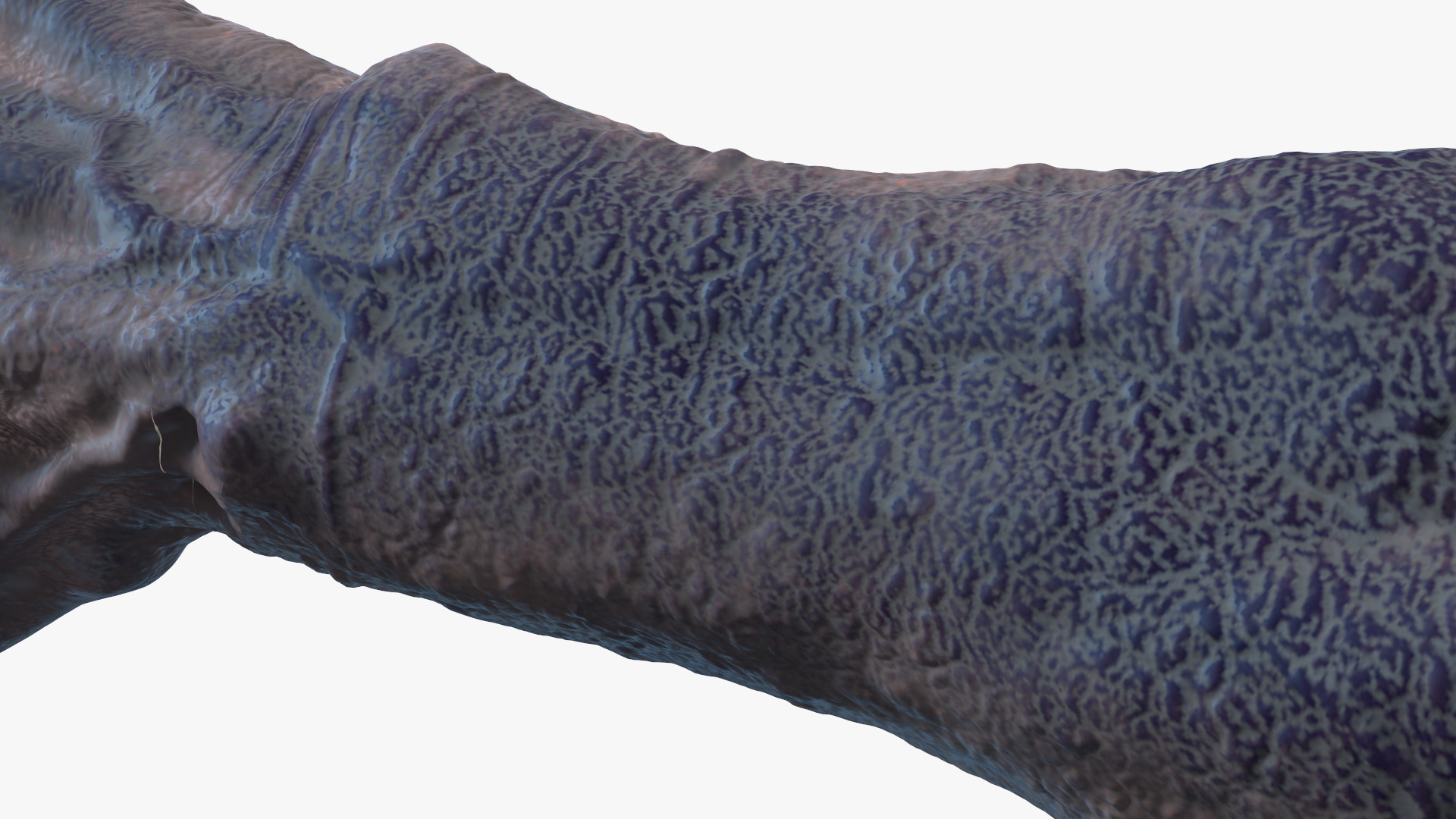 3D model Monster Creature Arm
