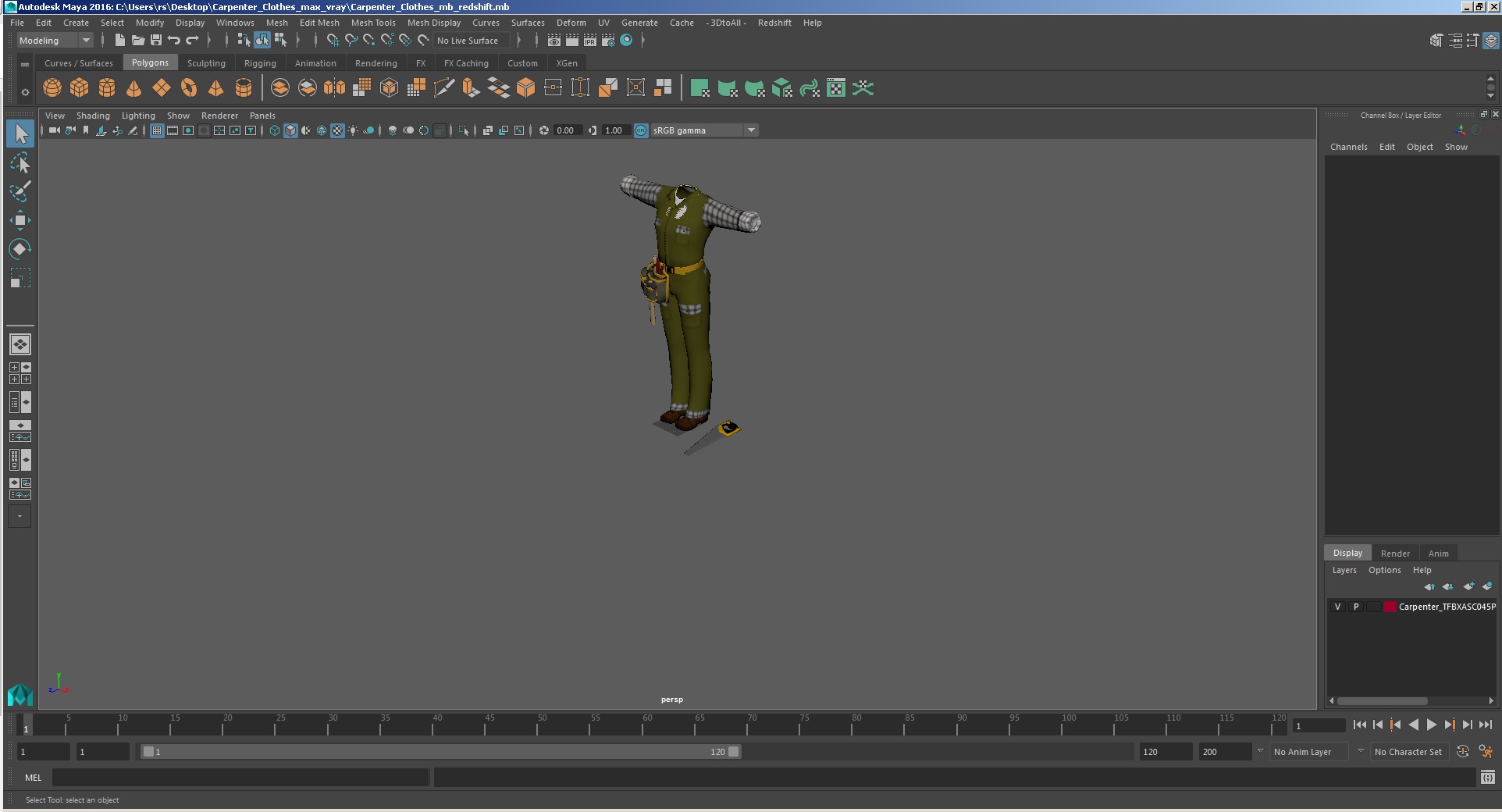 Carpenter Clothes 3D