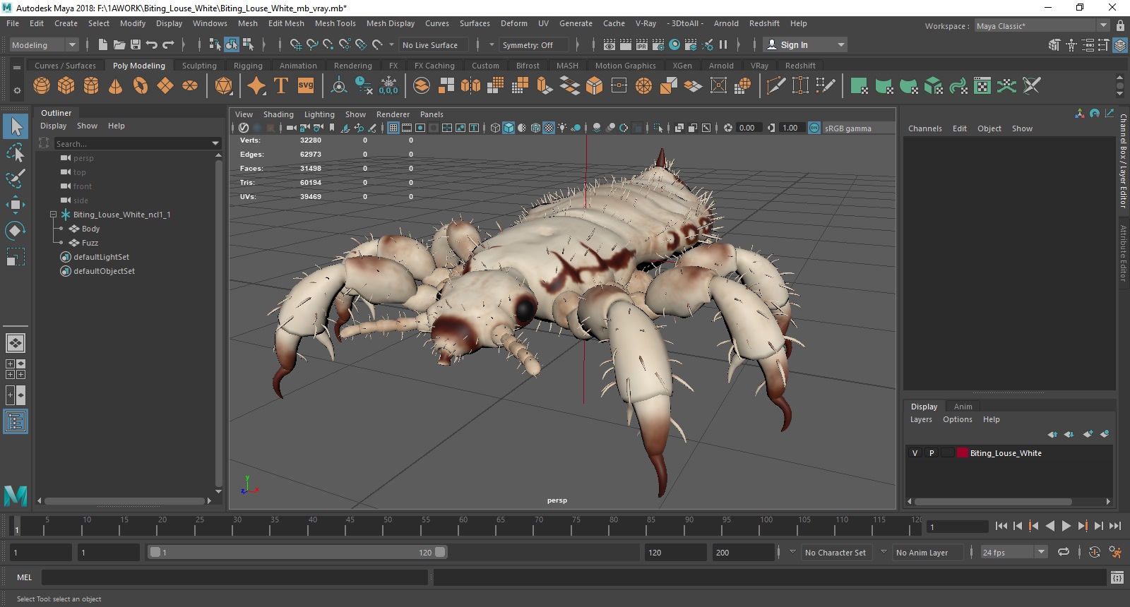 Biting Louse White SSS 3D