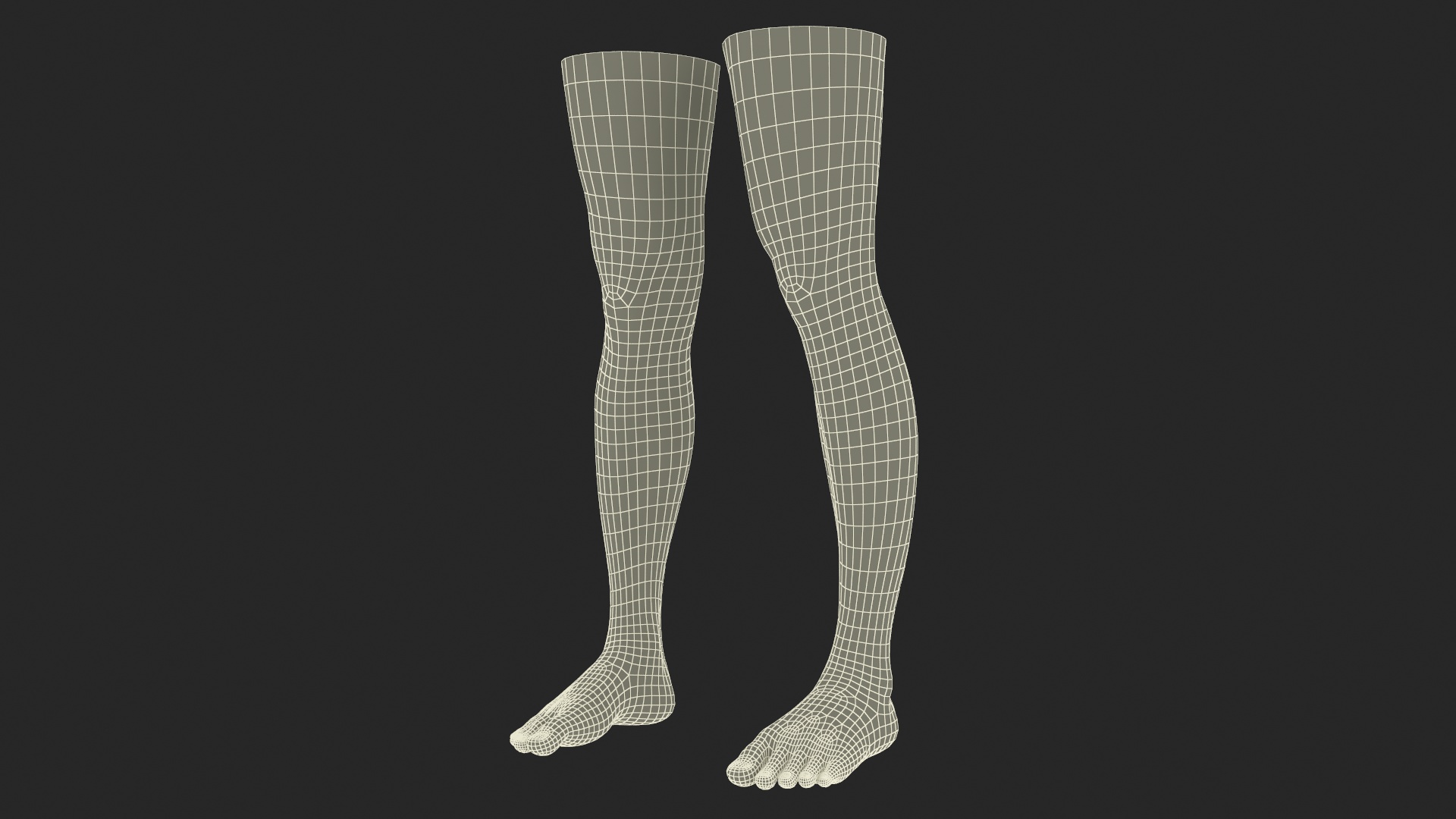 3D Female Legs