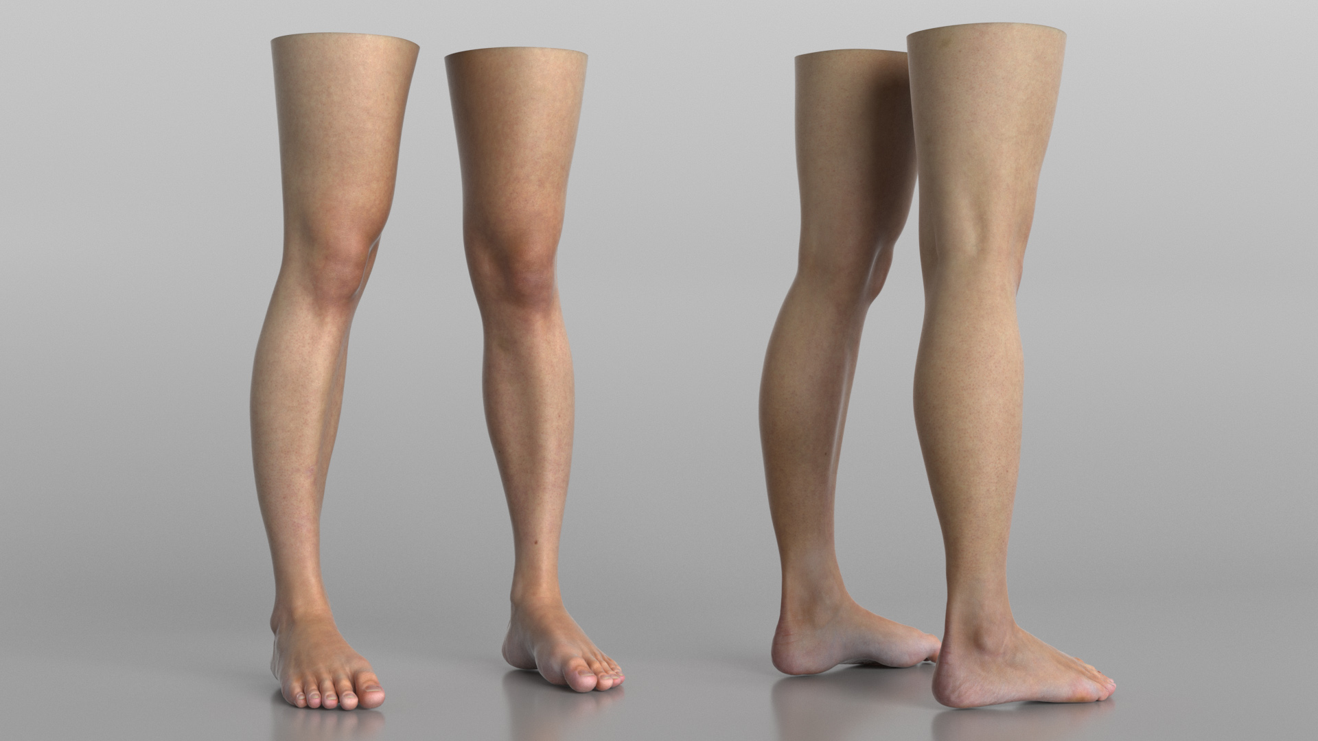 3D Female Legs