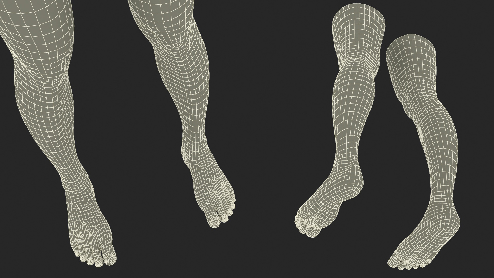 3D Female Legs