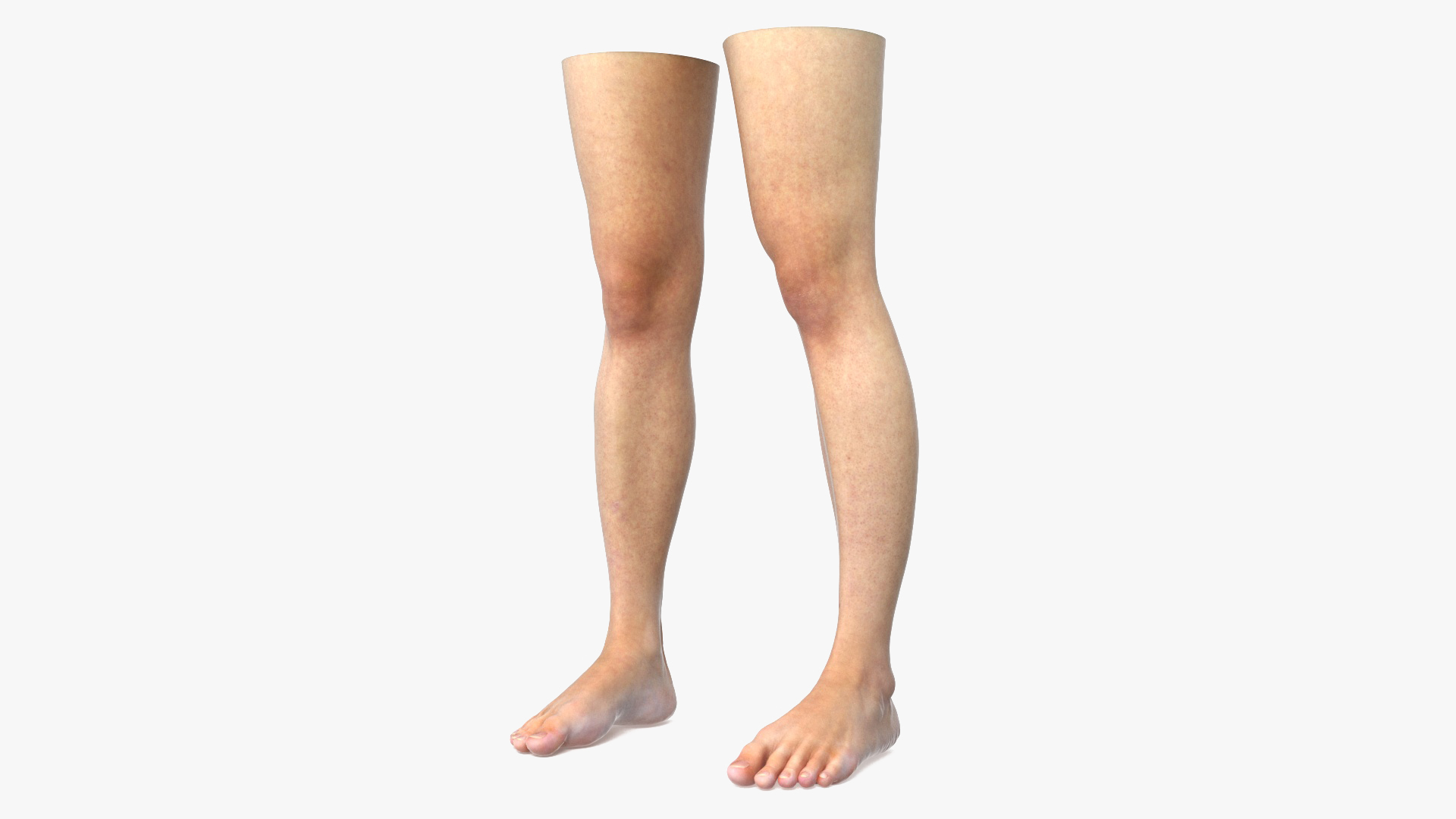 3D Female Legs
