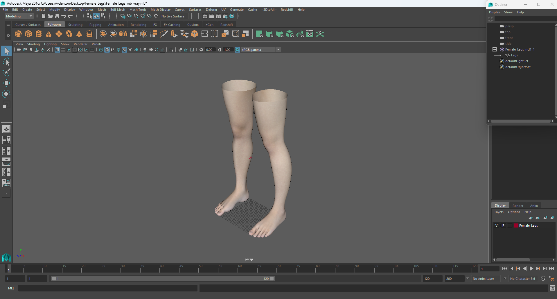 3D Female Legs