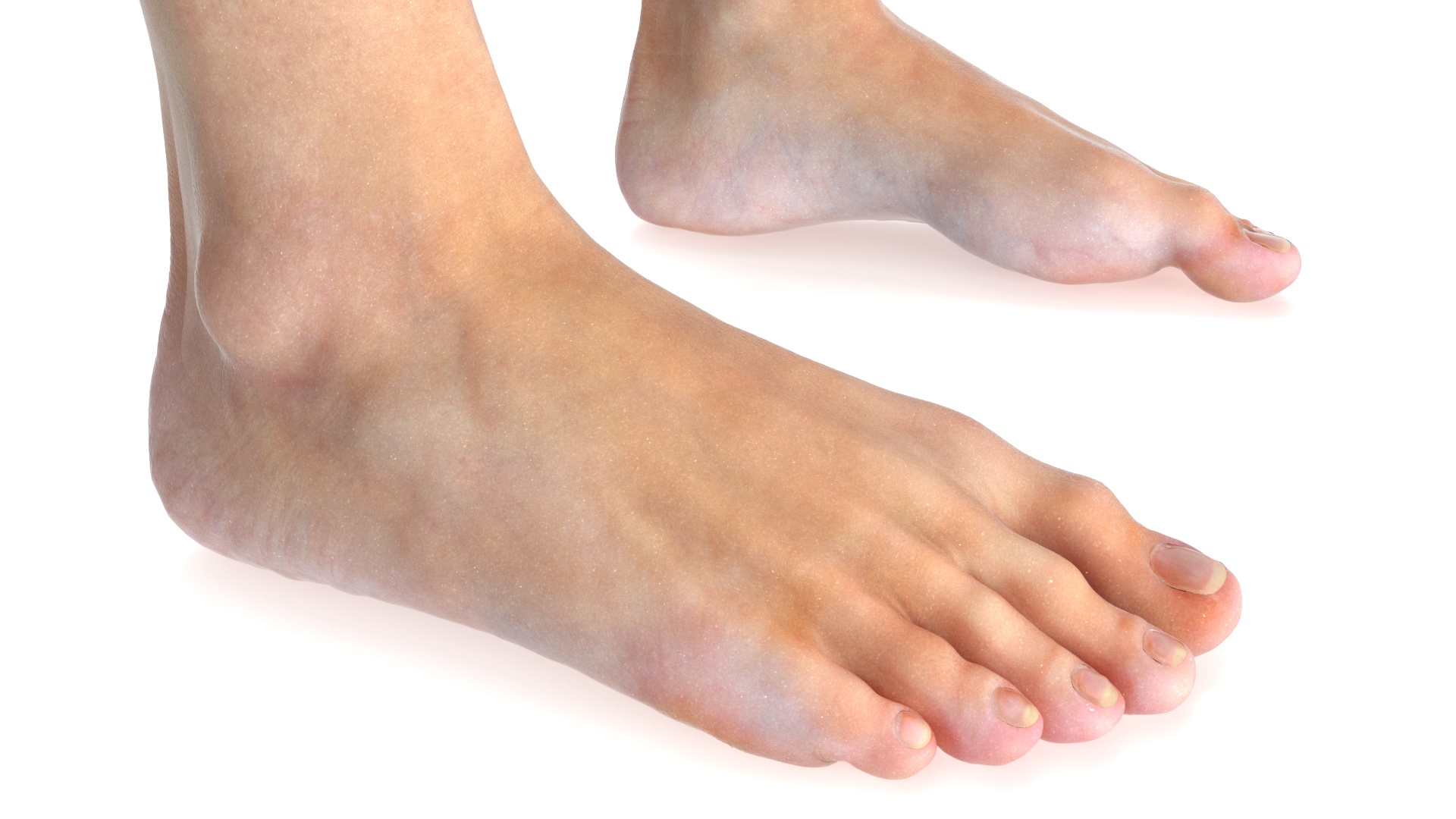 3D Female Legs