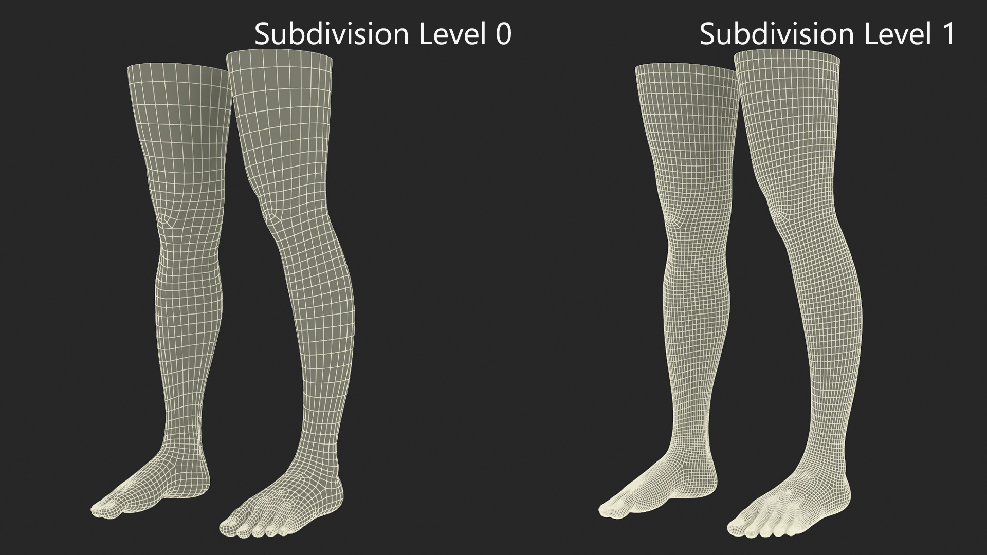3D Female Legs